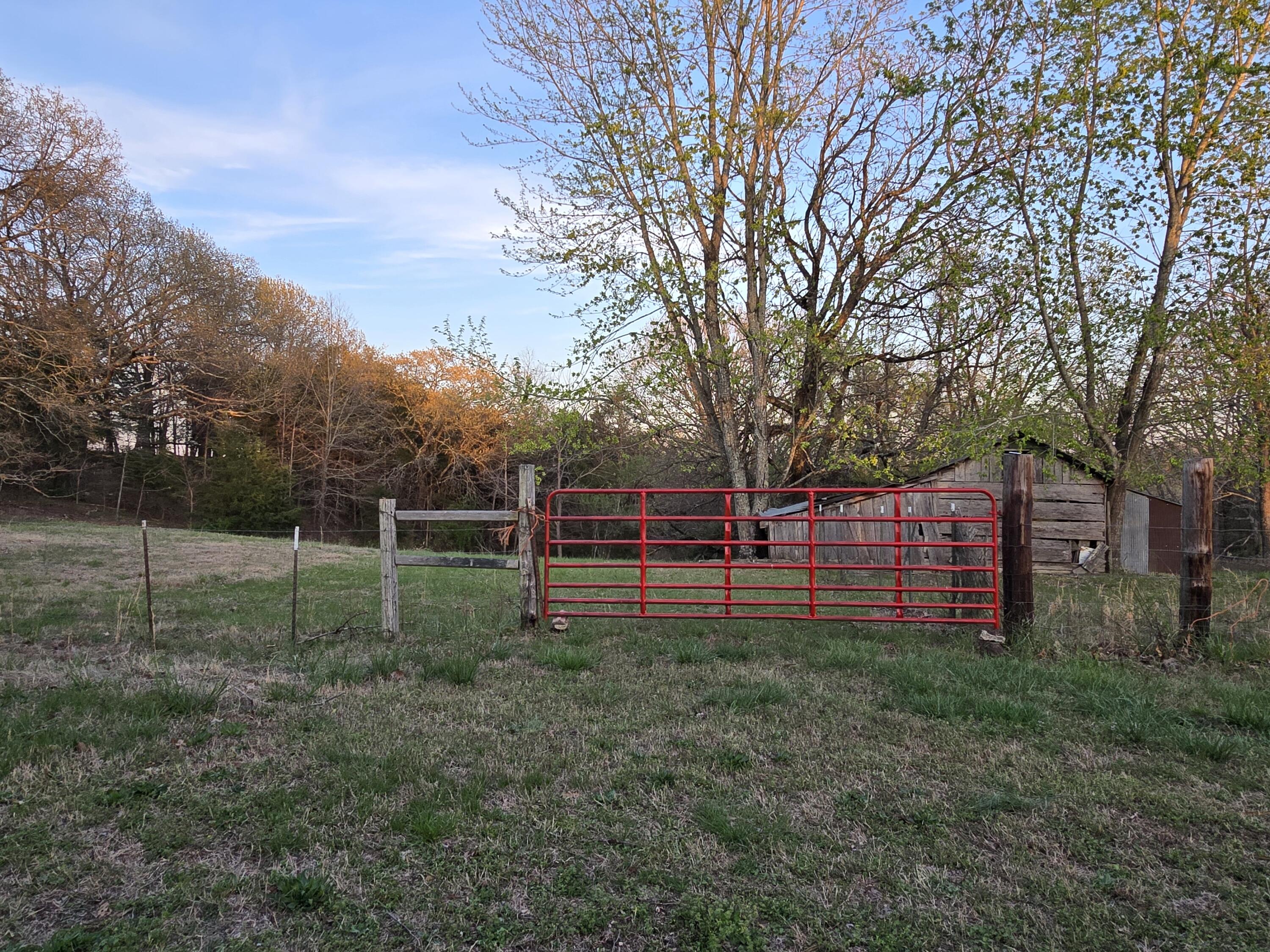 196 County Road 131 Property Photo 16