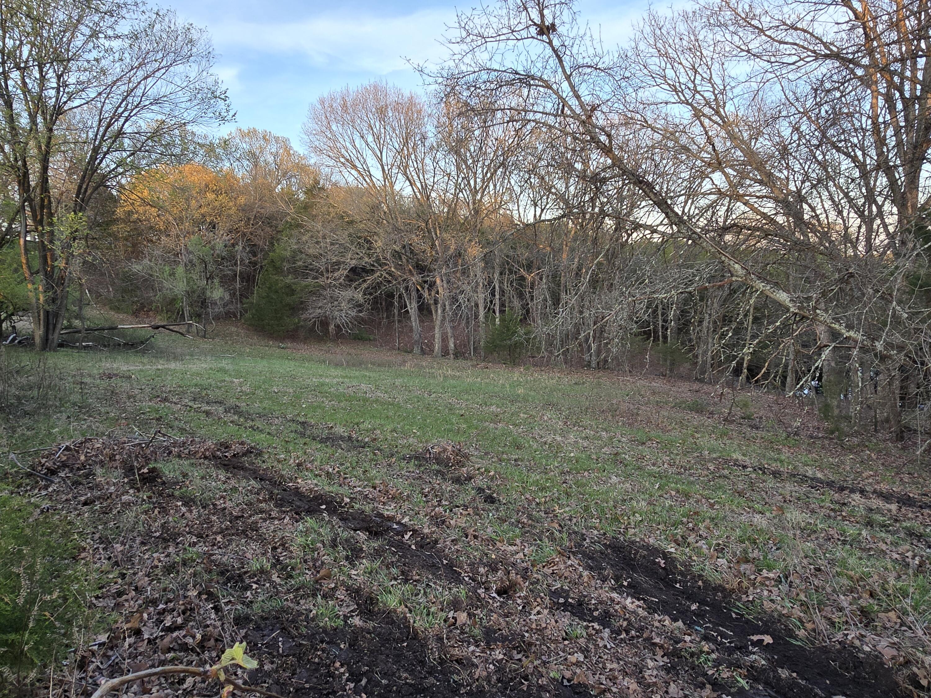 196 County Road 131 Property Photo 22