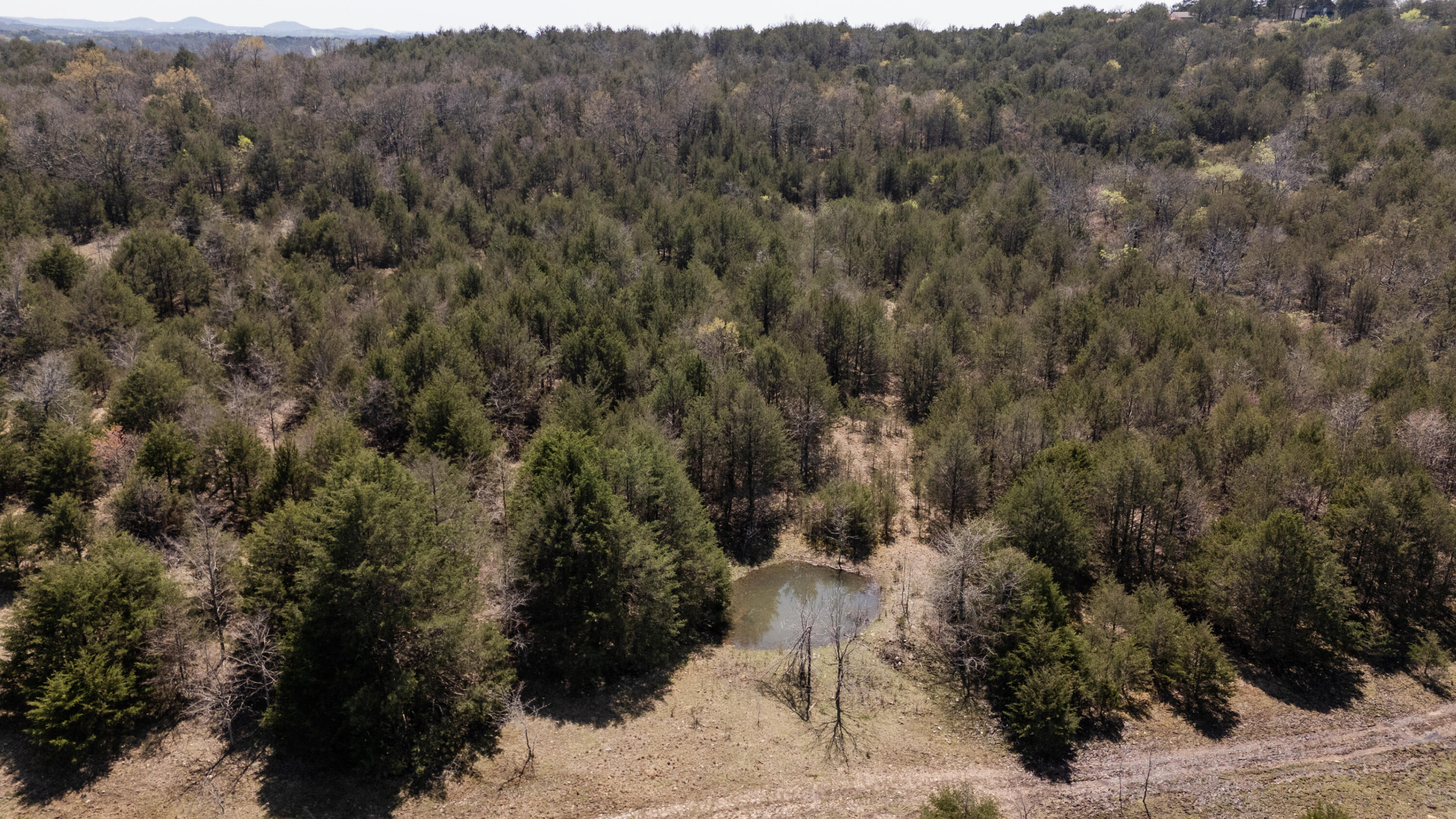 Tbd Pilot View Road Property Photo 9
