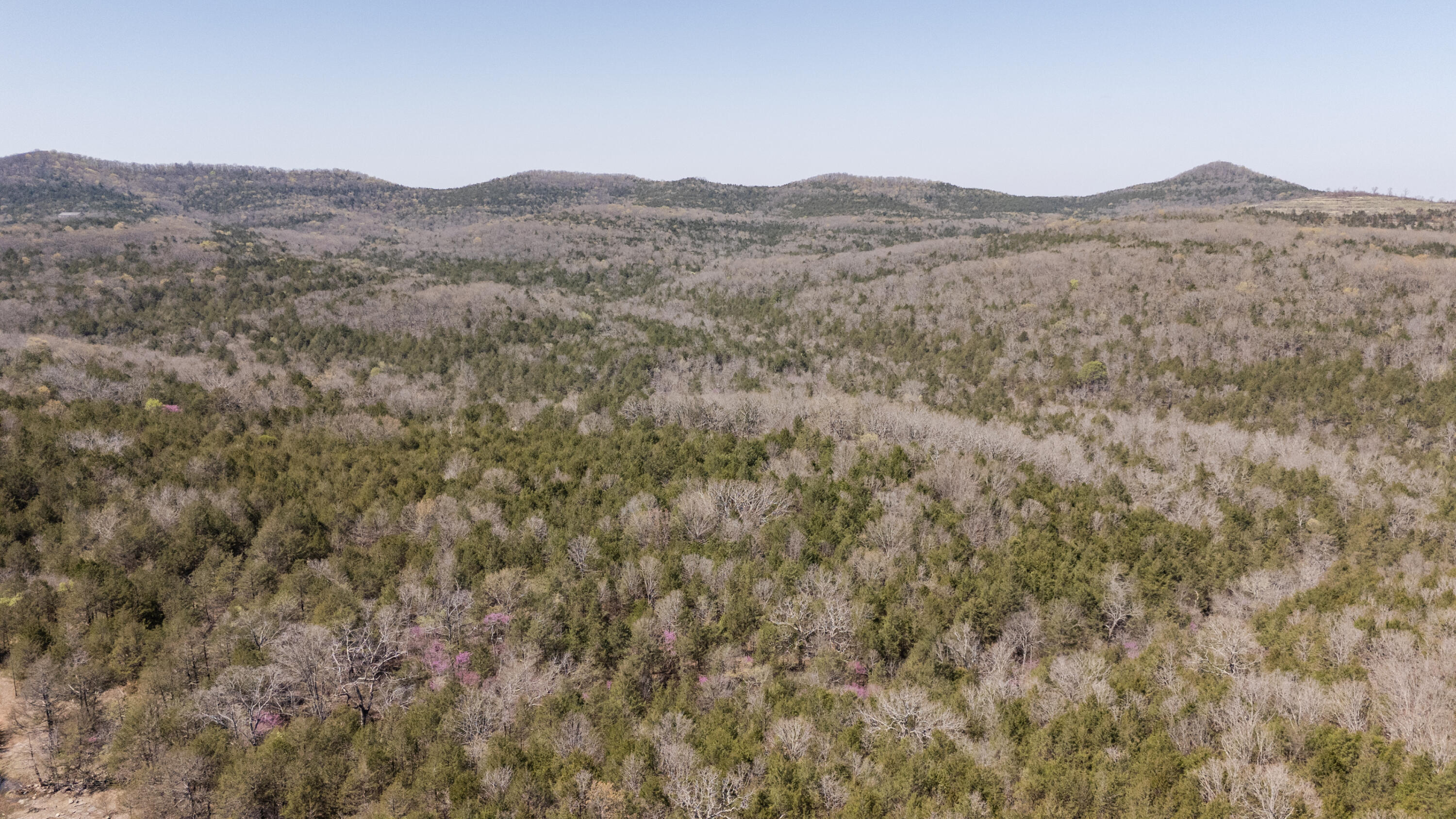 Tbd Pilot View Road Property Photo 19