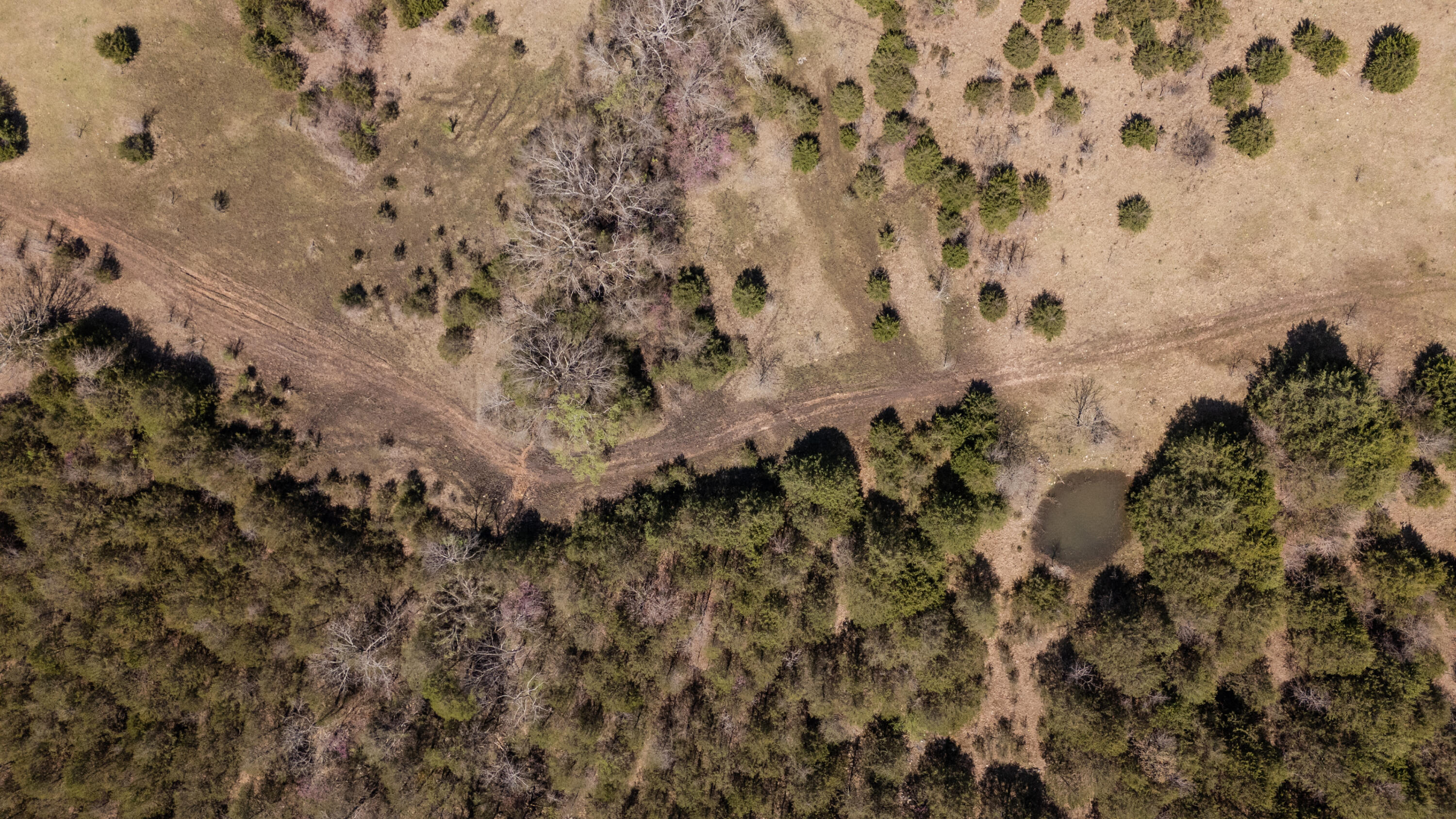 Tbd Pilot View Road Property Photo 31