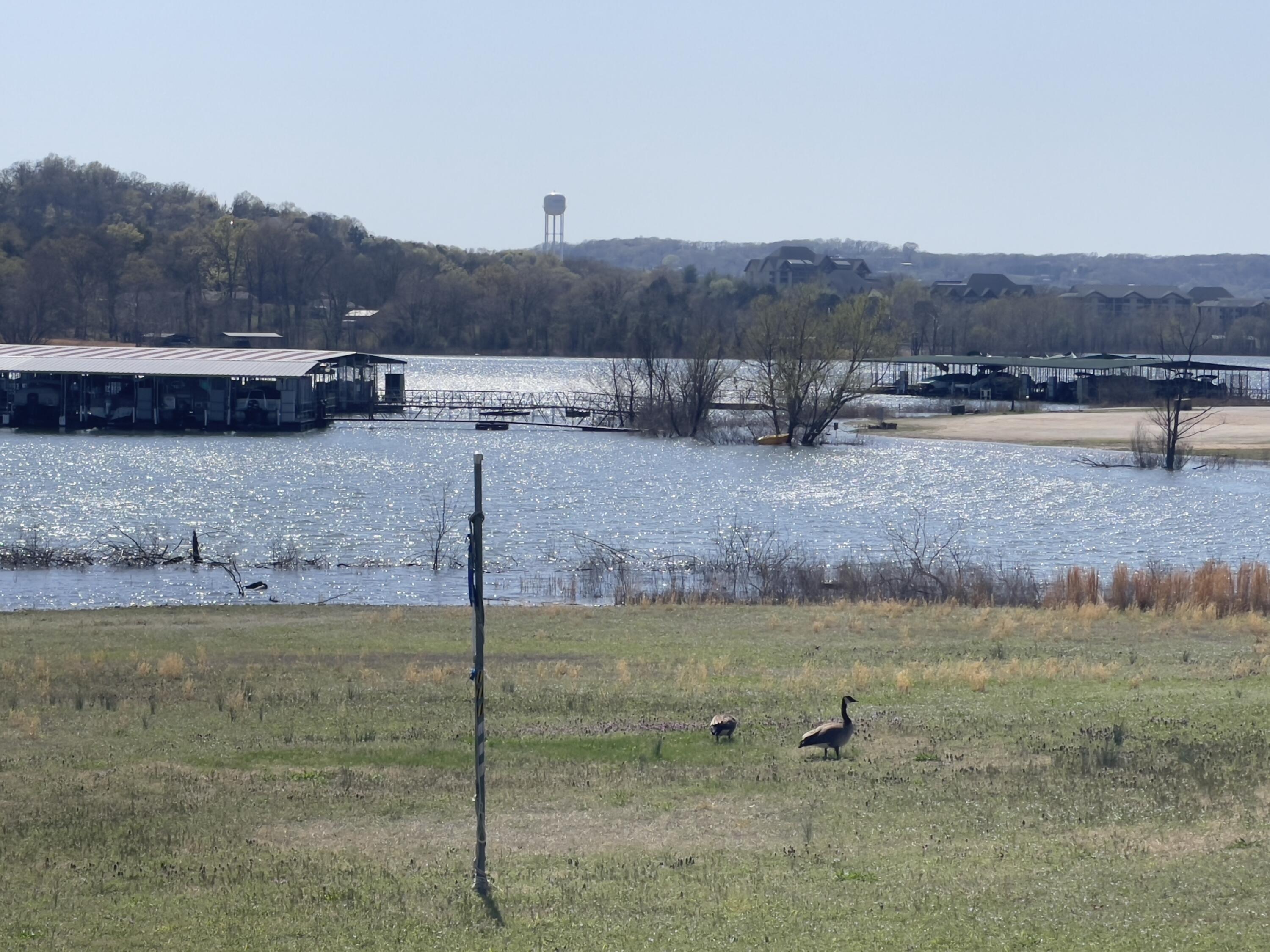 171 Rabbit Road Property Photo 29