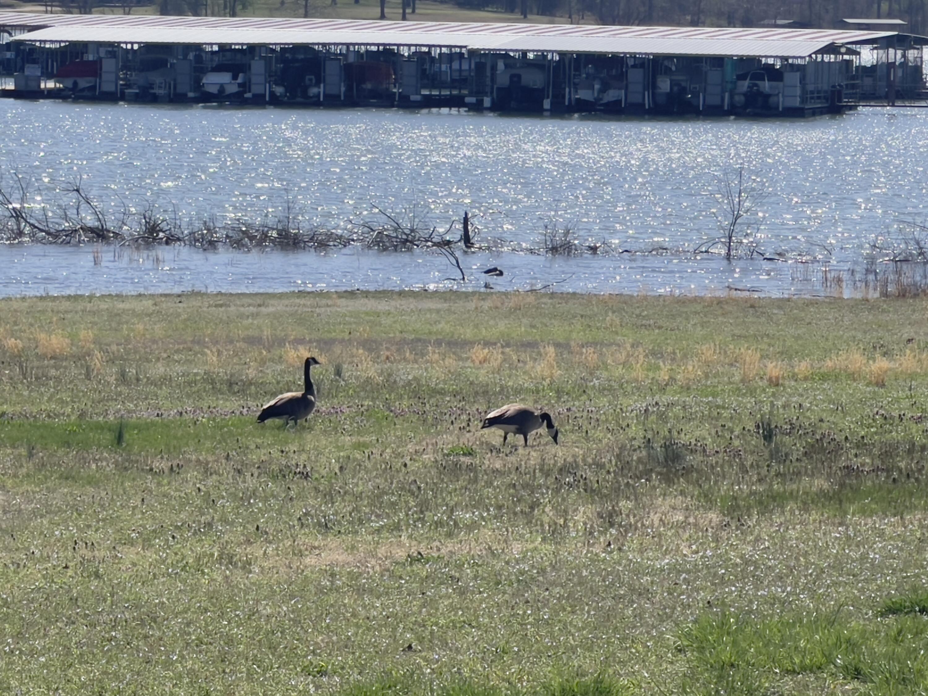 171 Rabbit Road Property Photo 30