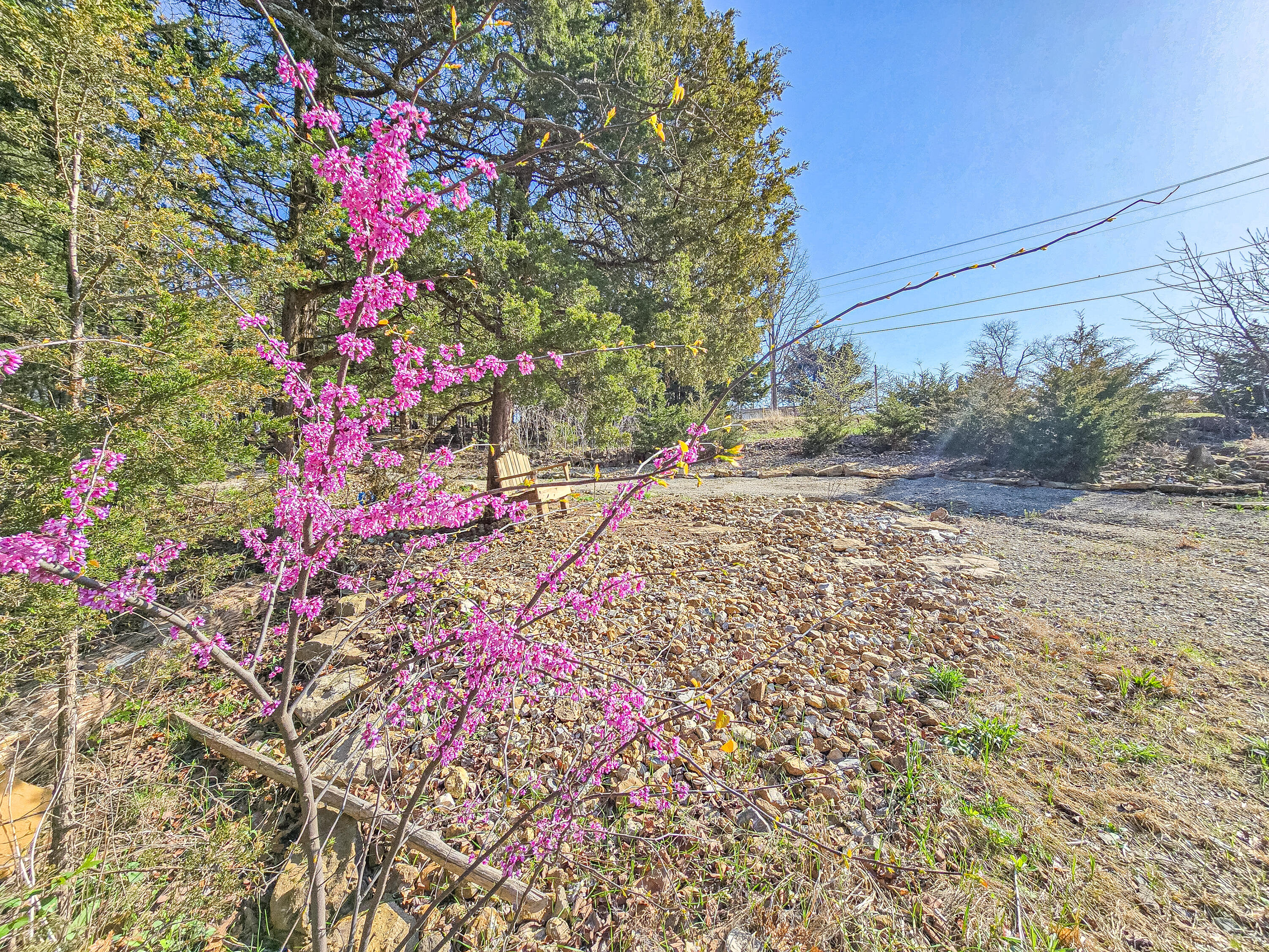 Lot 4 County Road 203 Property Photo 1