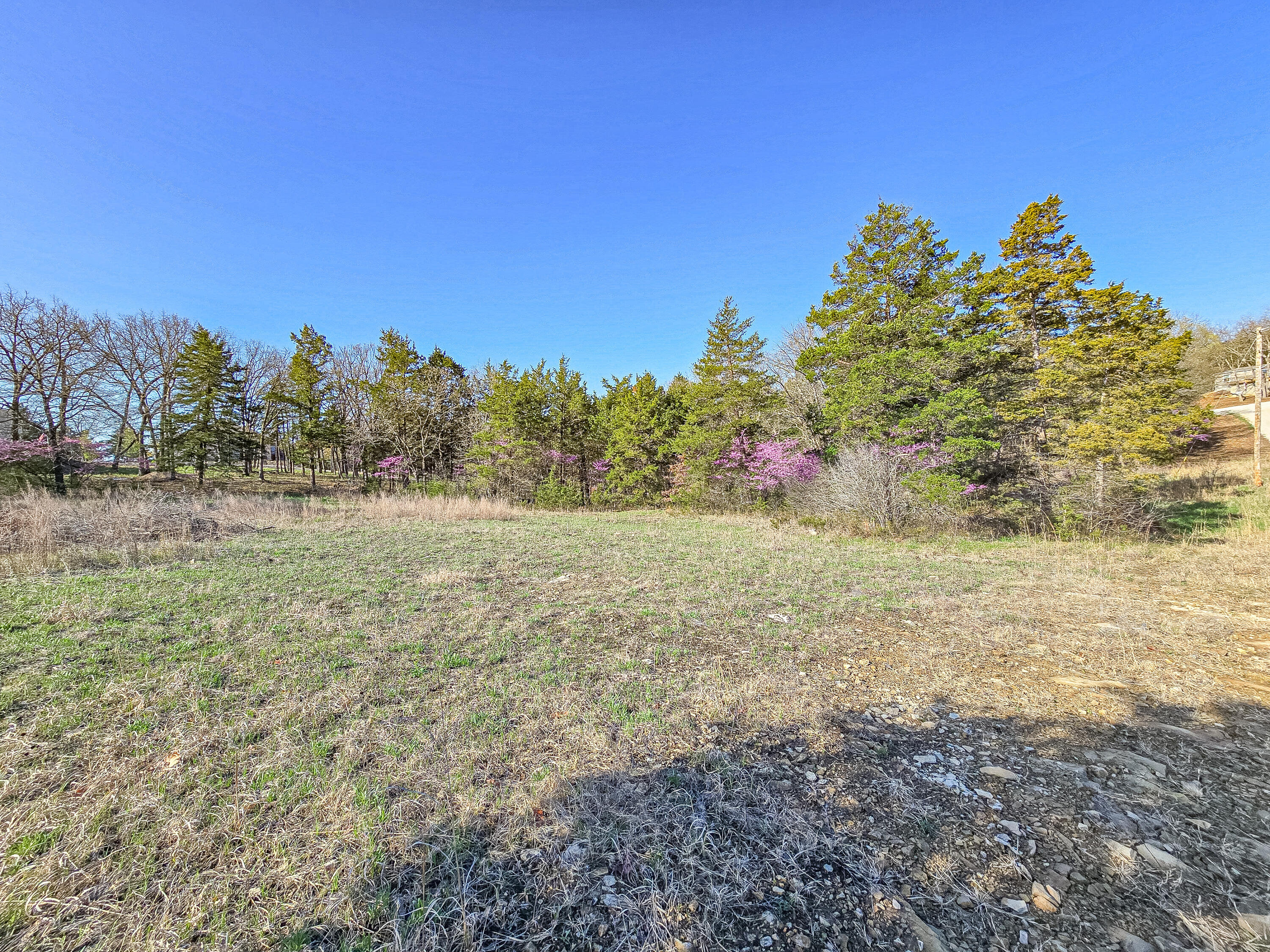 Lot 3 County Road 203 Property Photo 1