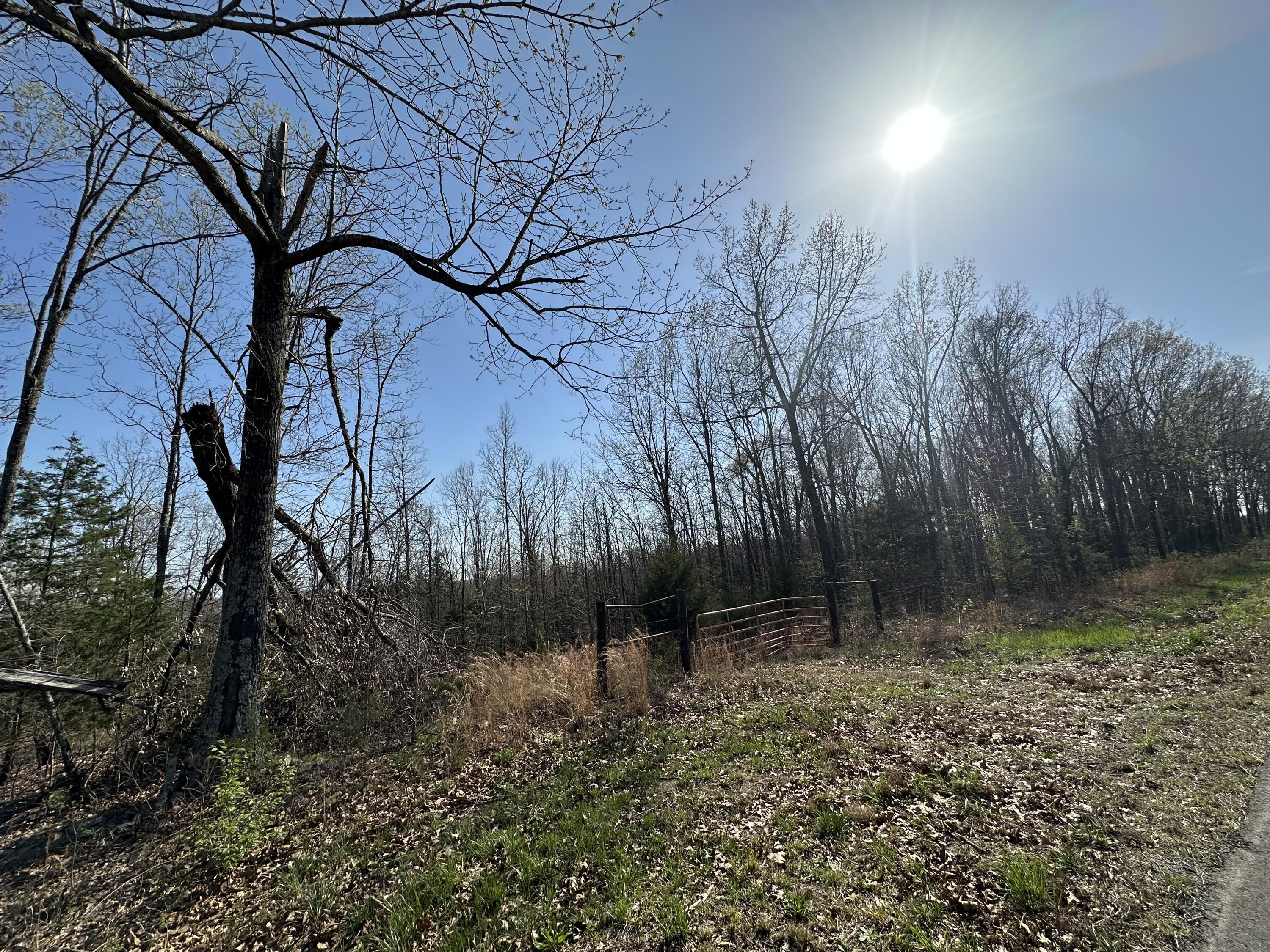 000 State Highway Ee Property Photo 3