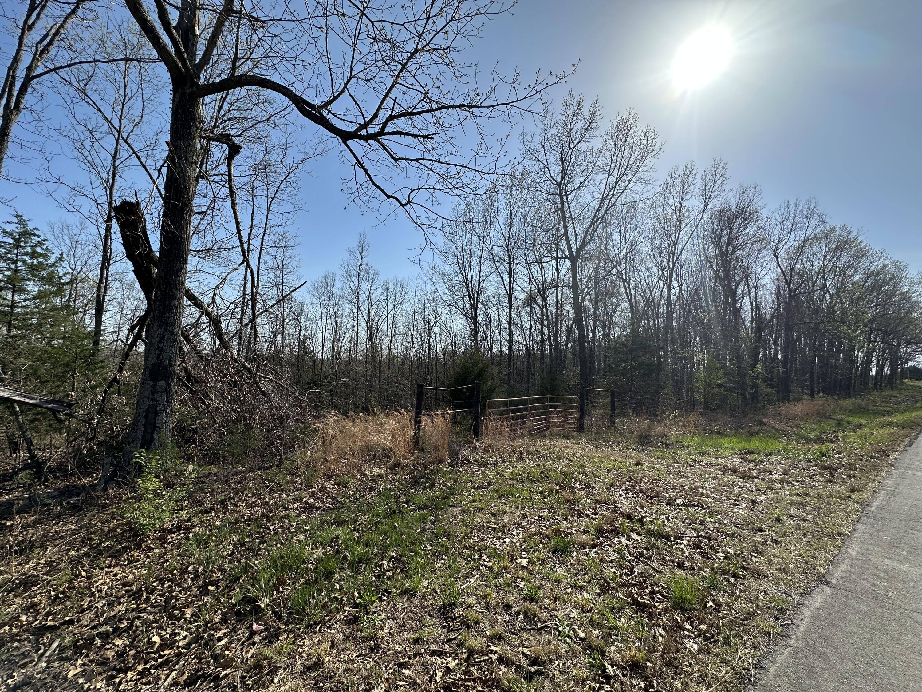 000 State Highway Ee Property Photo 4
