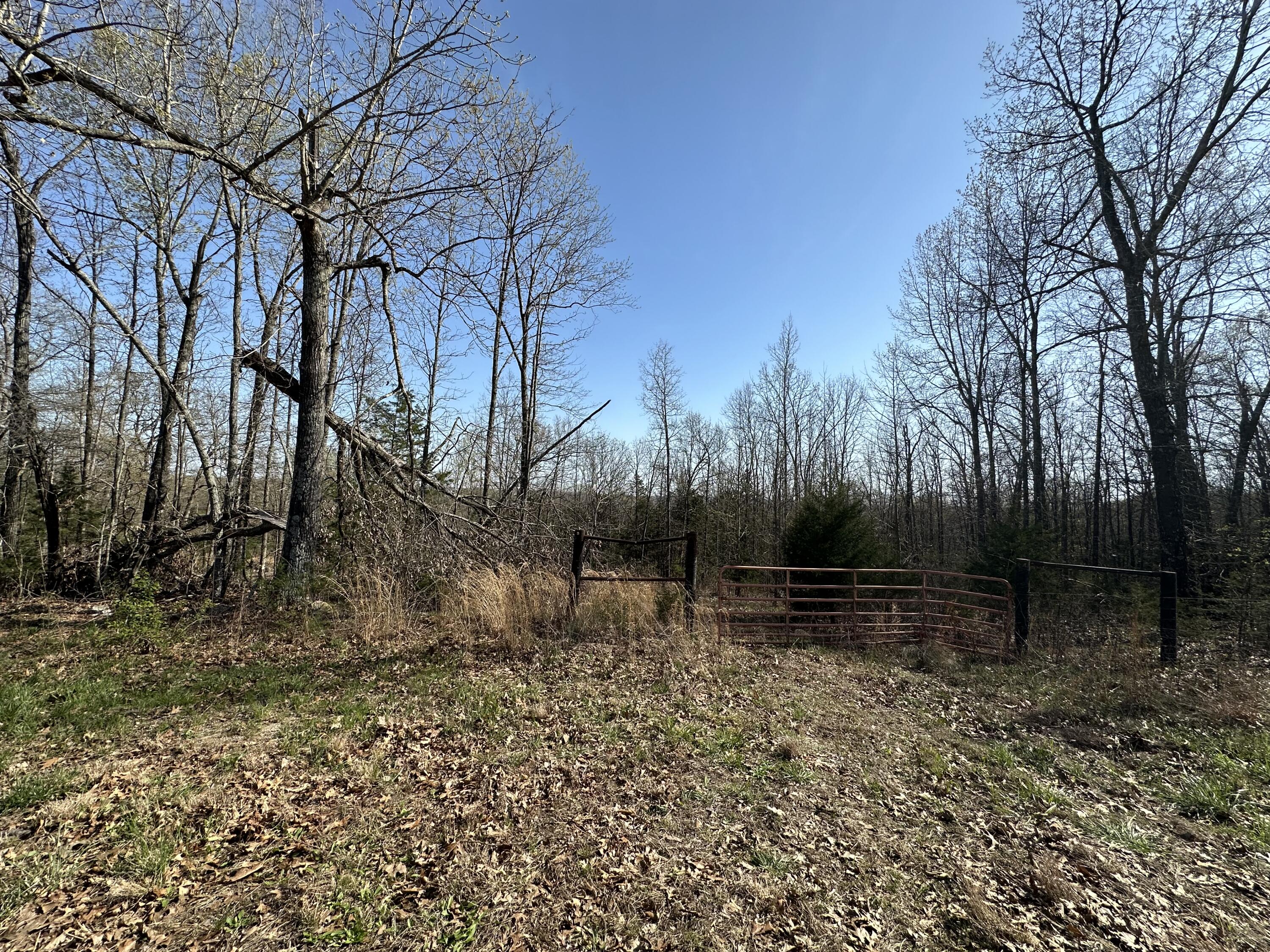 000 State Highway Ee Property Photo 5