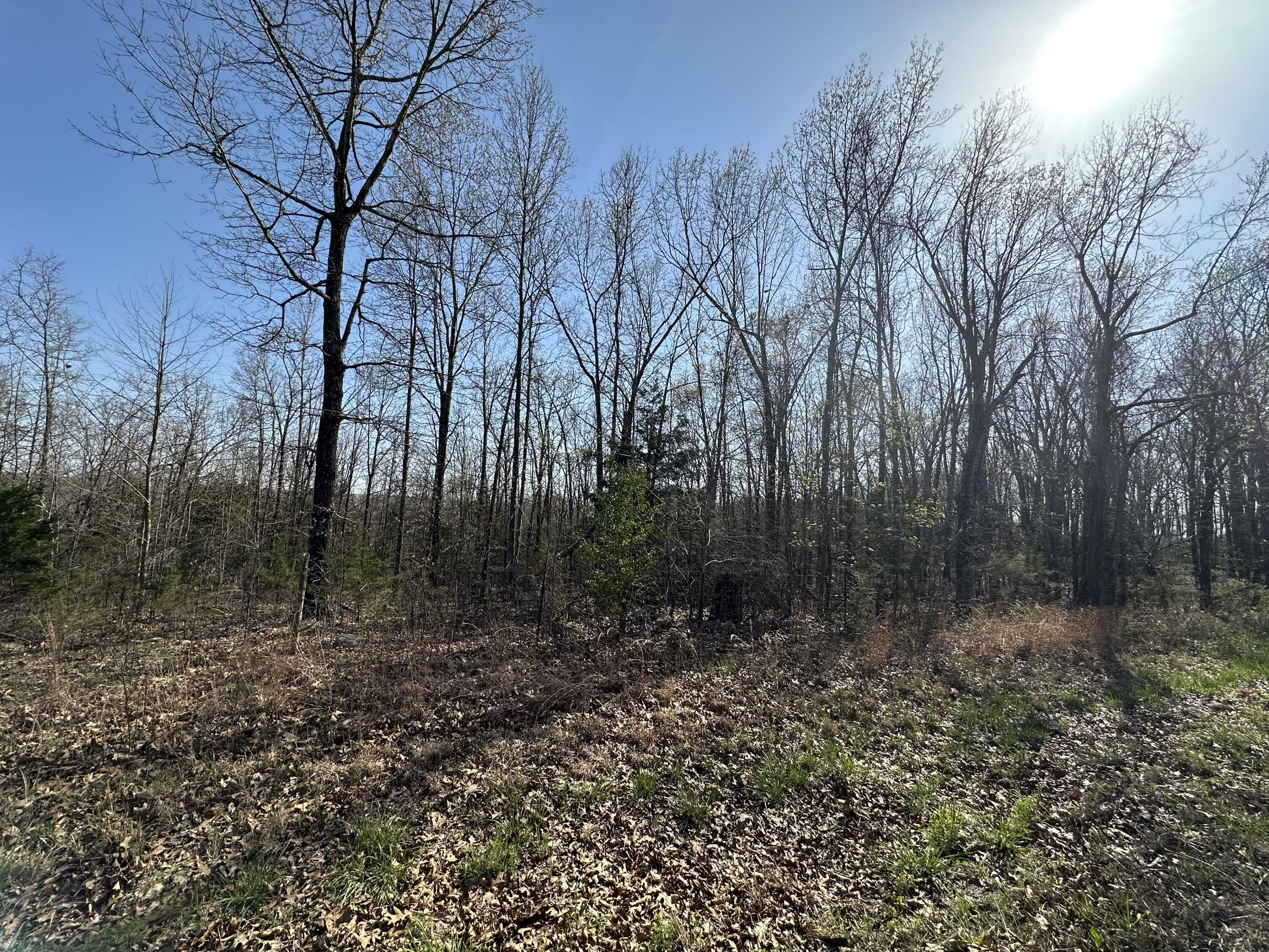 000 State Highway Ee Property Photo 6