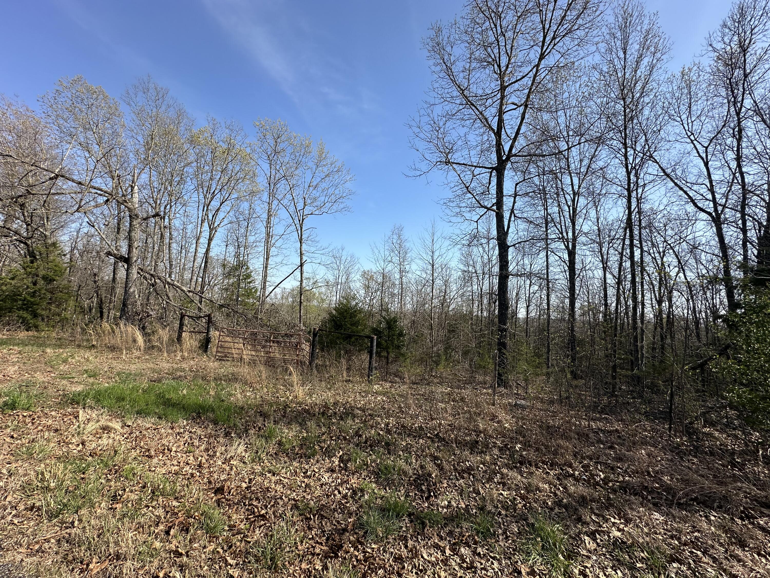 000 State Highway Ee Property Photo 8