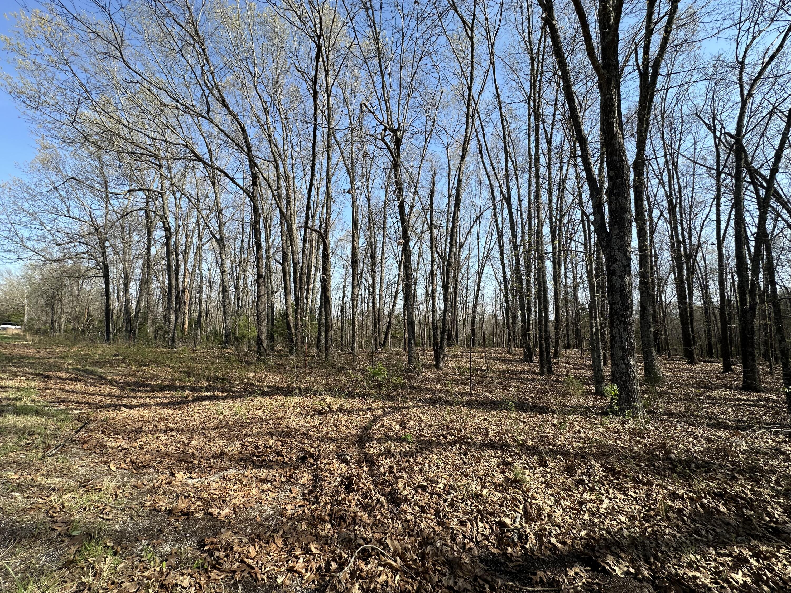 000 State Highway Ee Property Photo 9