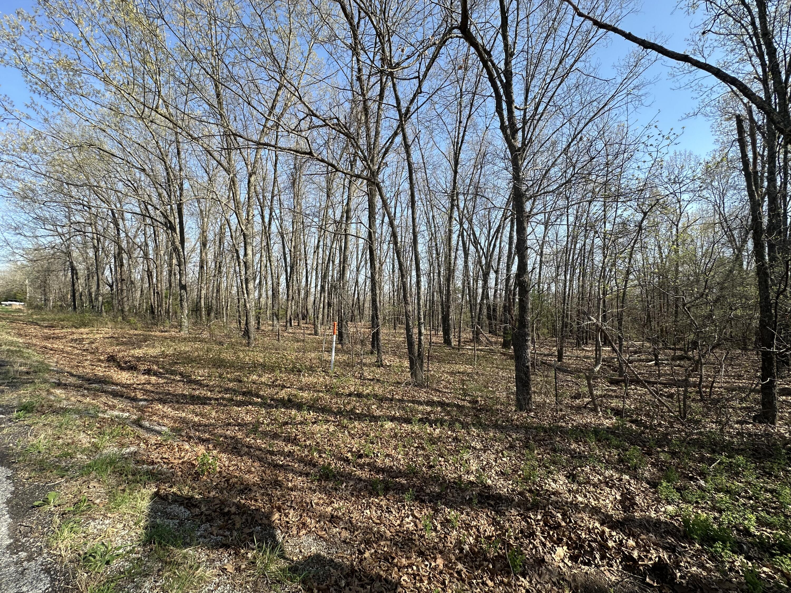 000 State Highway Ee Property Photo 11