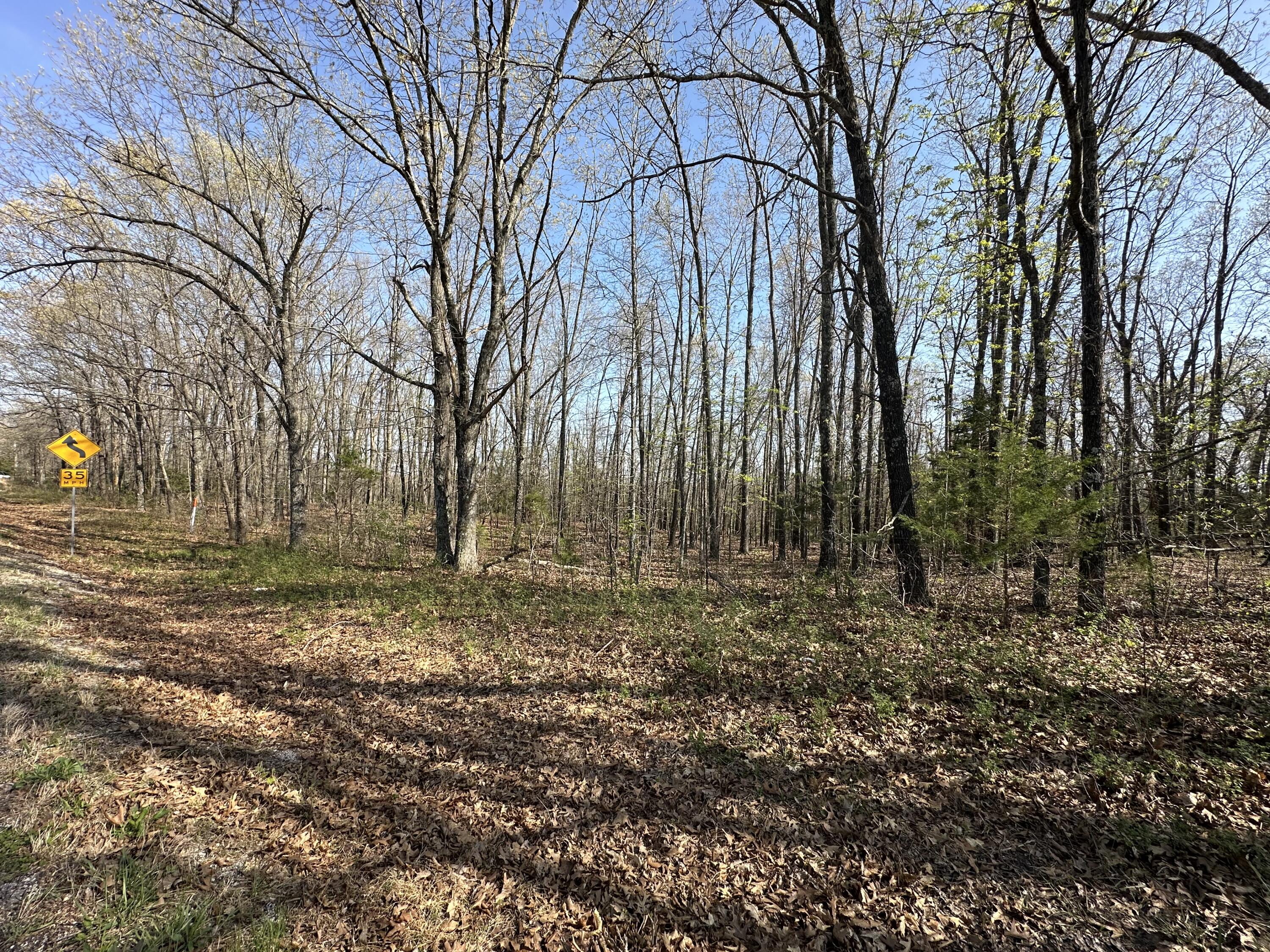 000 State Highway Ee Property Photo 12