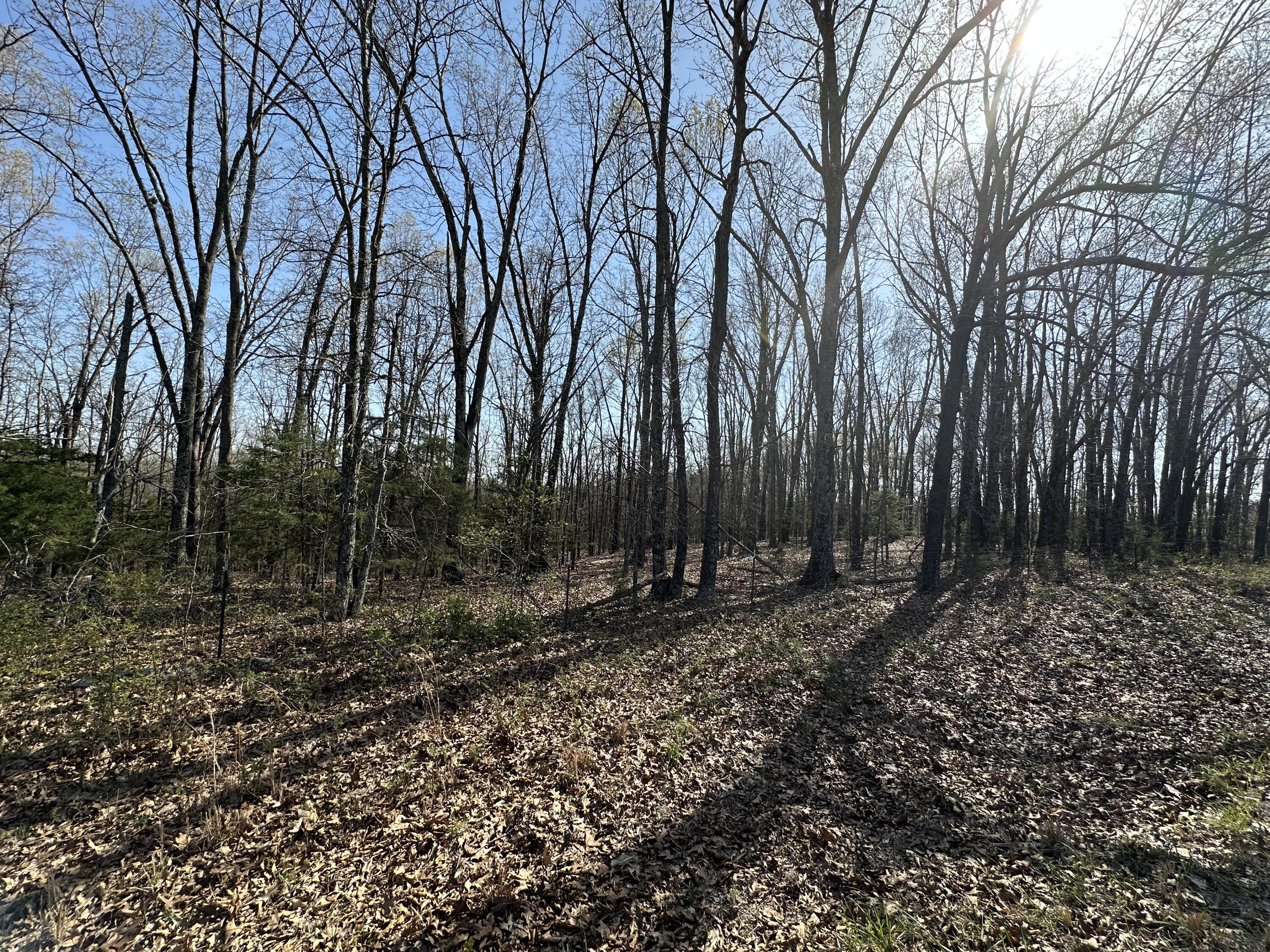 000 State Highway Ee Property Photo 13