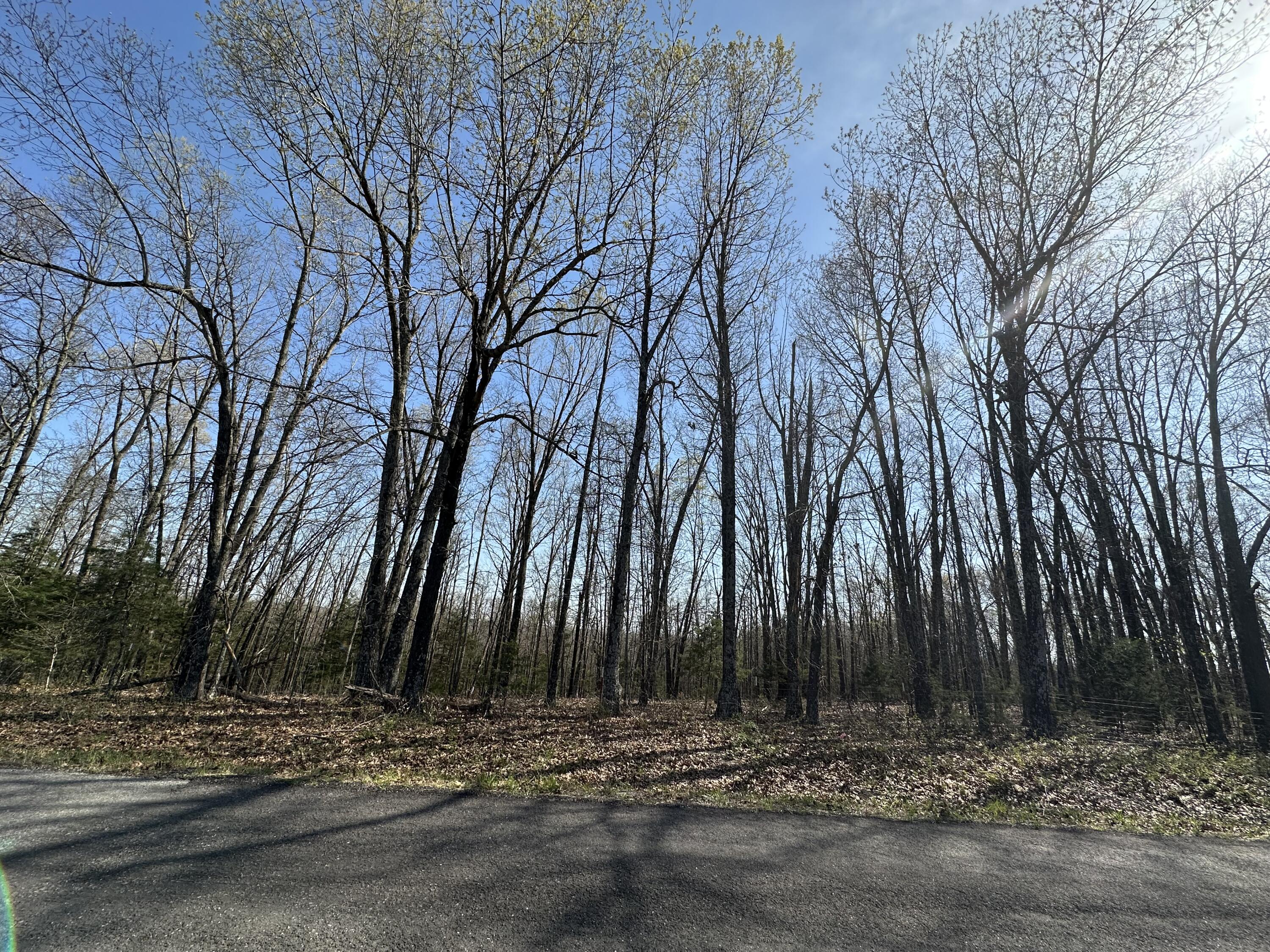 000 State Highway Ee Property Photo 17