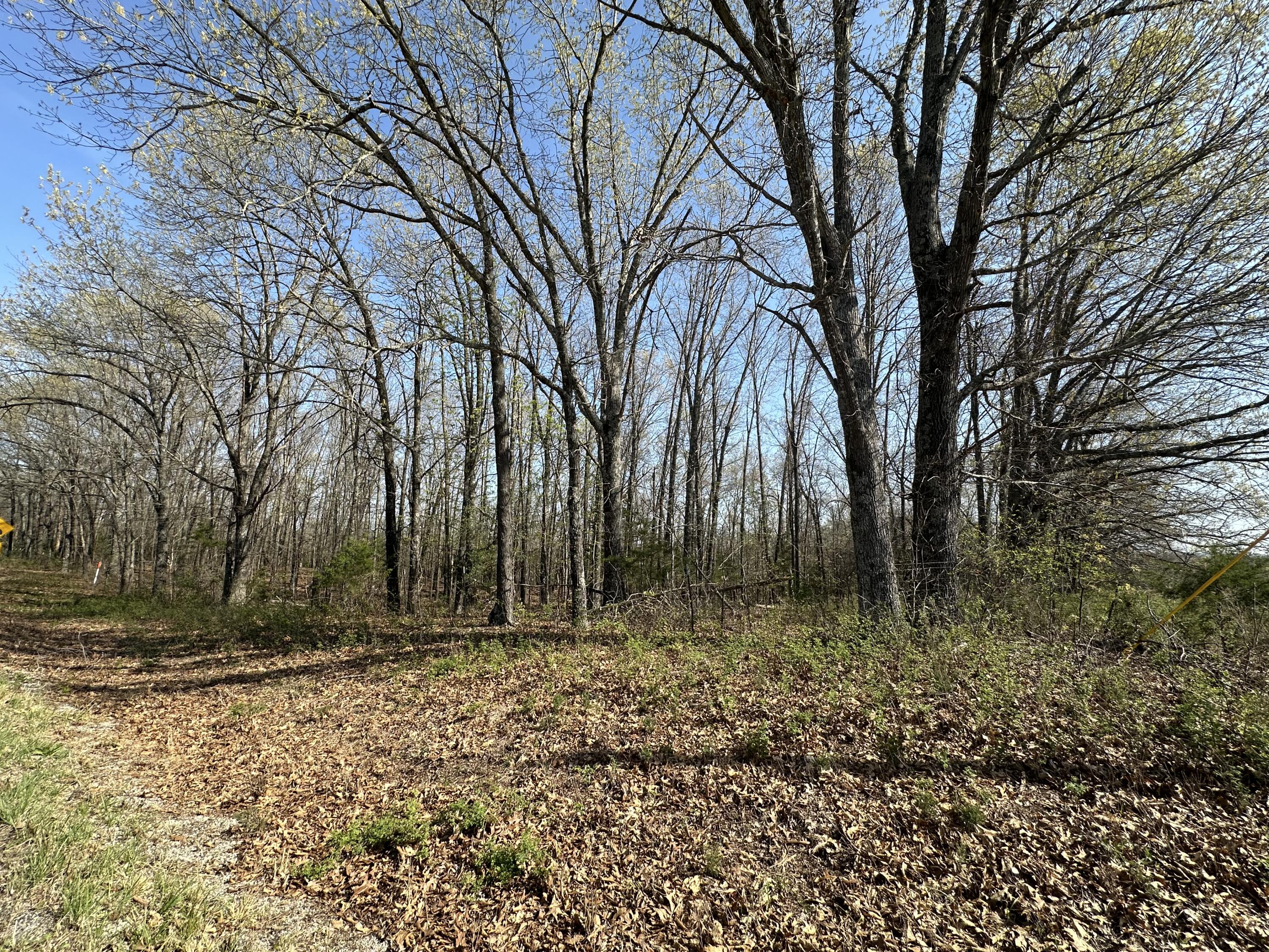 000 State Highway Ee Property Photo 18