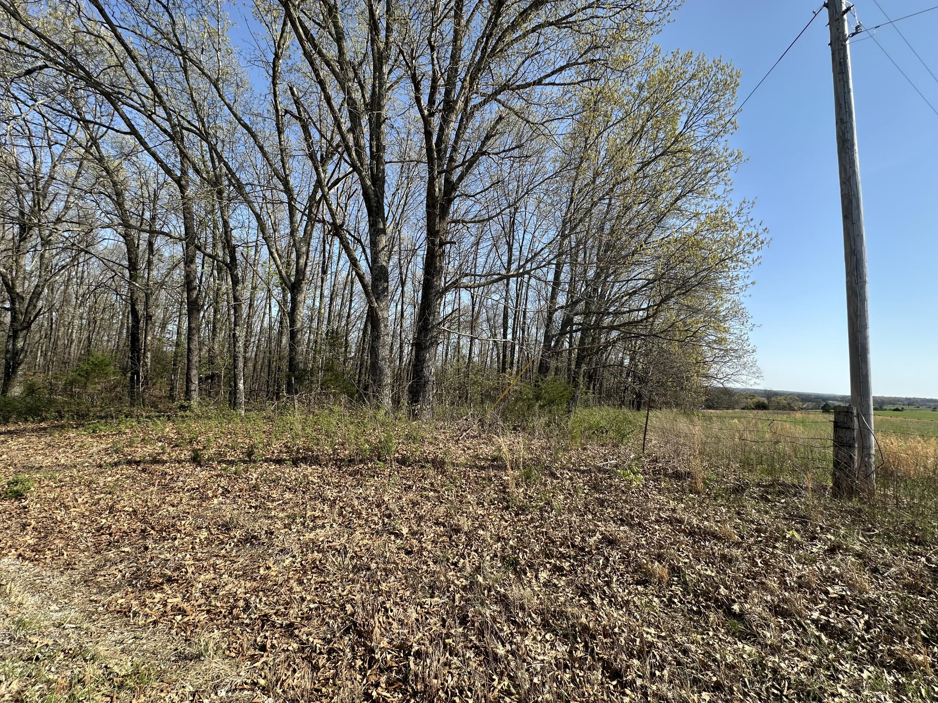 000 State Highway Ee Property Photo 19