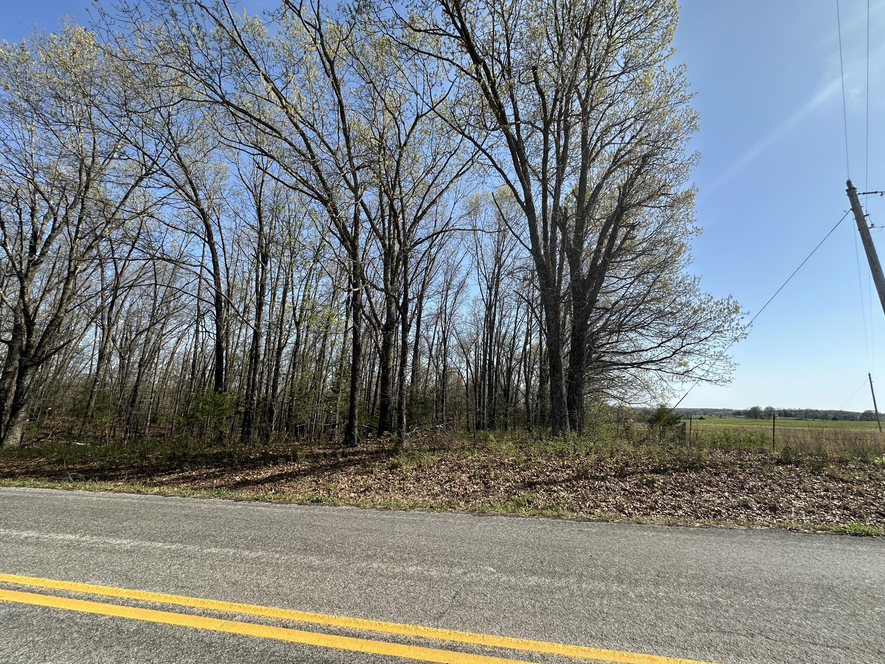 000 State Highway Ee Property Photo 21