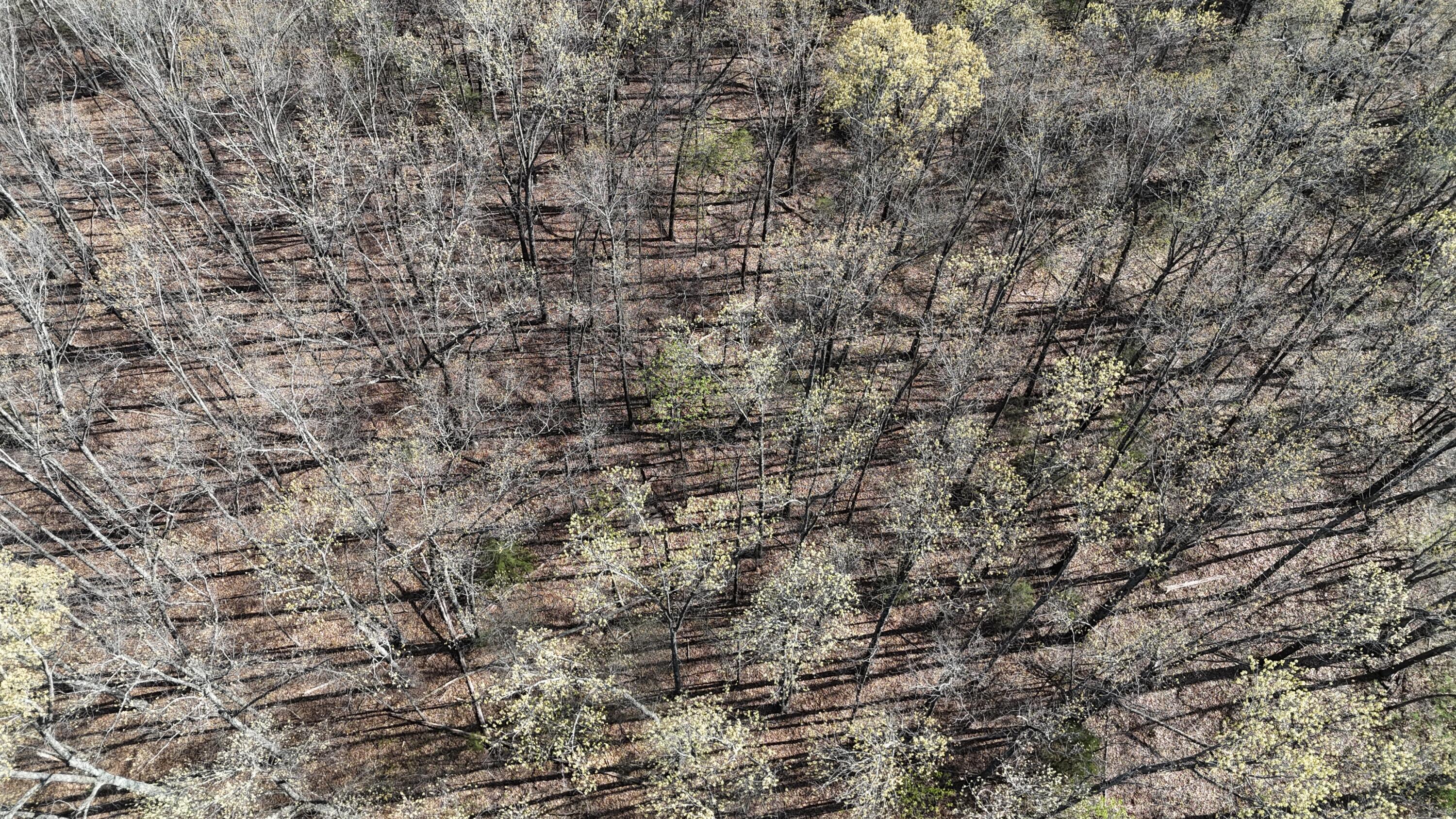 000 State Highway Ee Property Photo 22