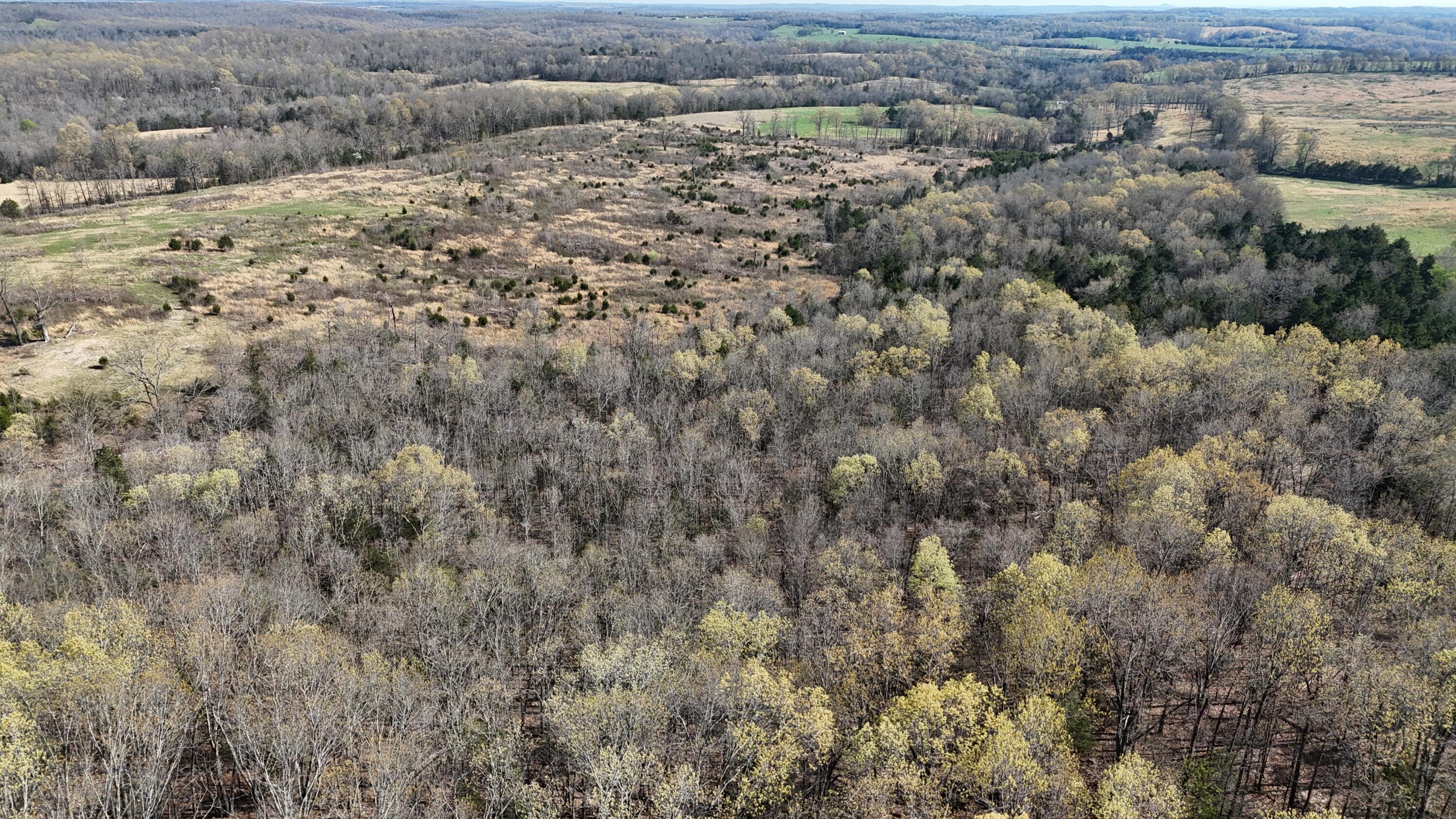 000 State Highway Ee Property Photo 29