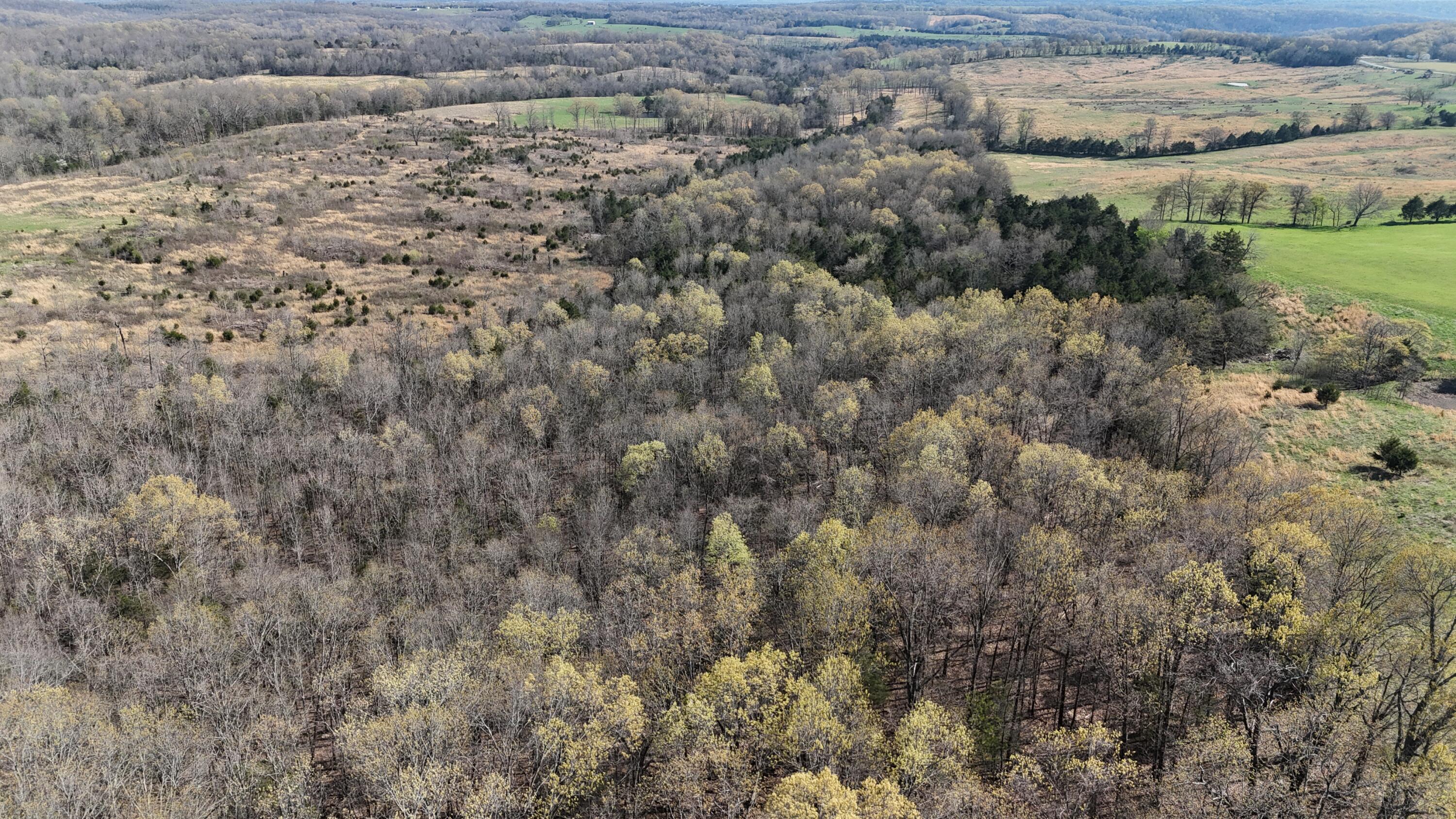 000 State Highway Ee Property Photo 30