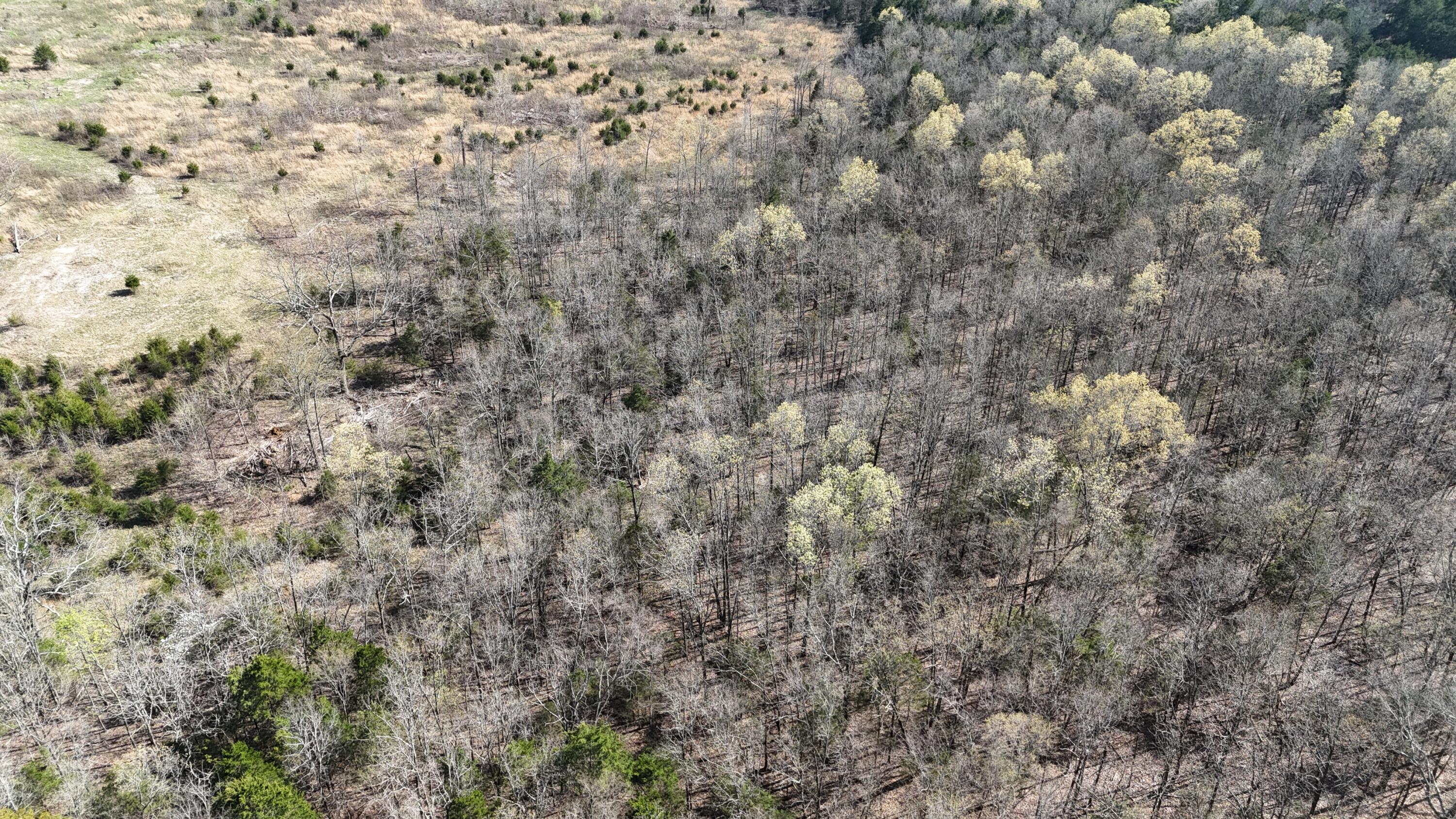 000 State Highway Ee Property Photo 32
