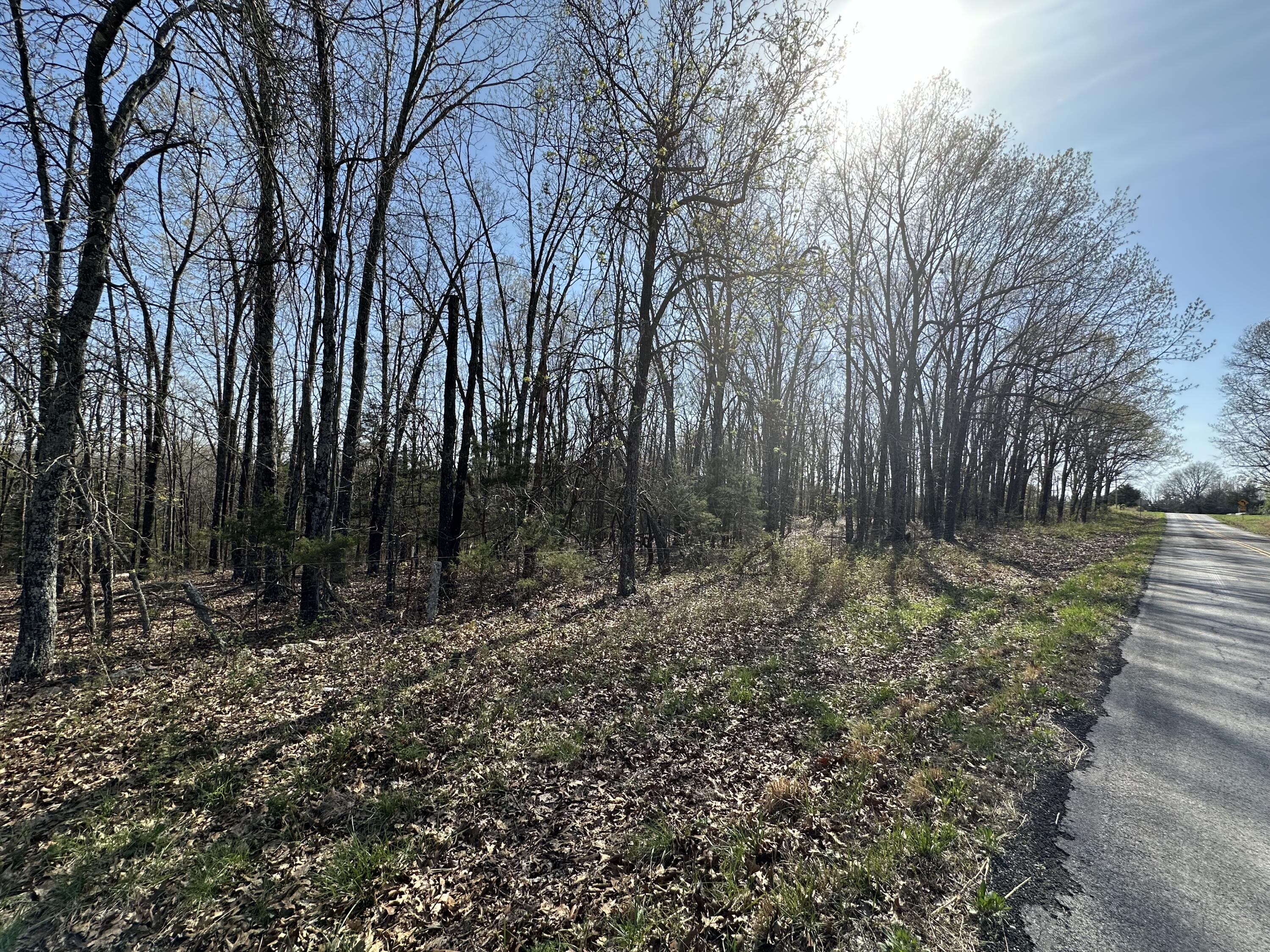 000 State Highway Ee Property Photo 39