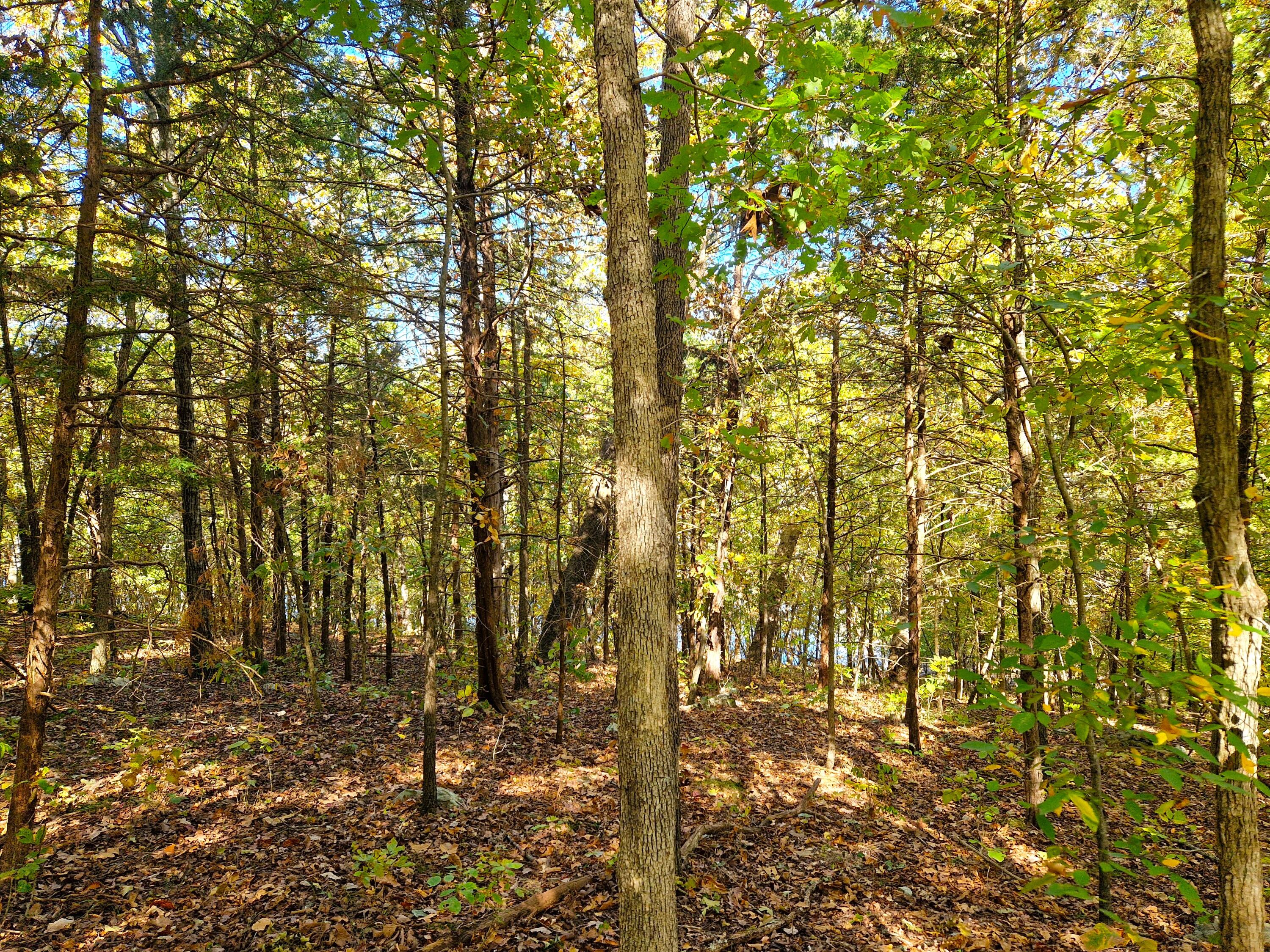 Lot 11 Newton Road Property Photo 4