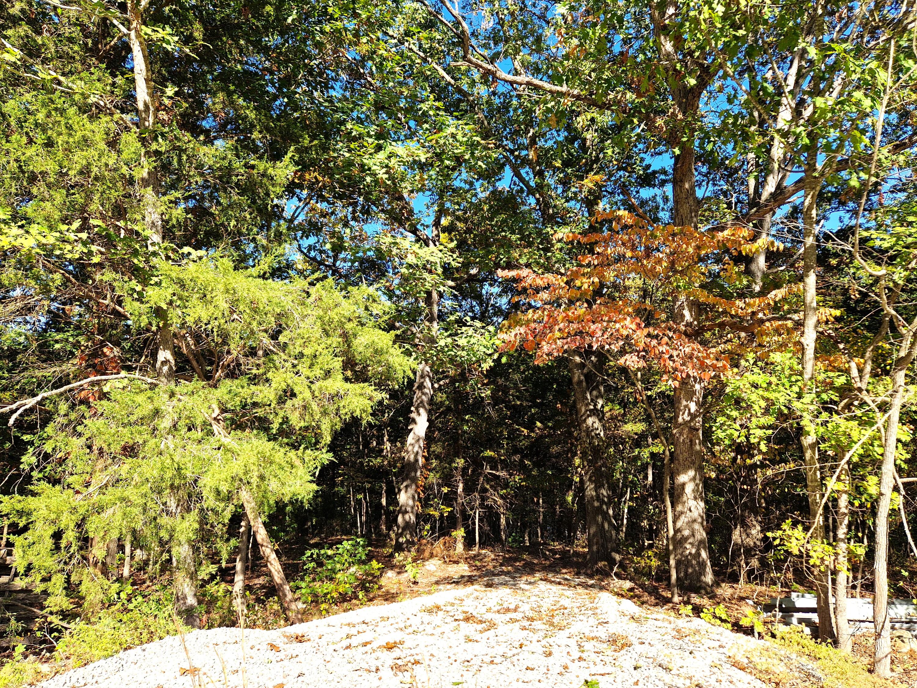Lot 11 Newton Road Property Photo 6