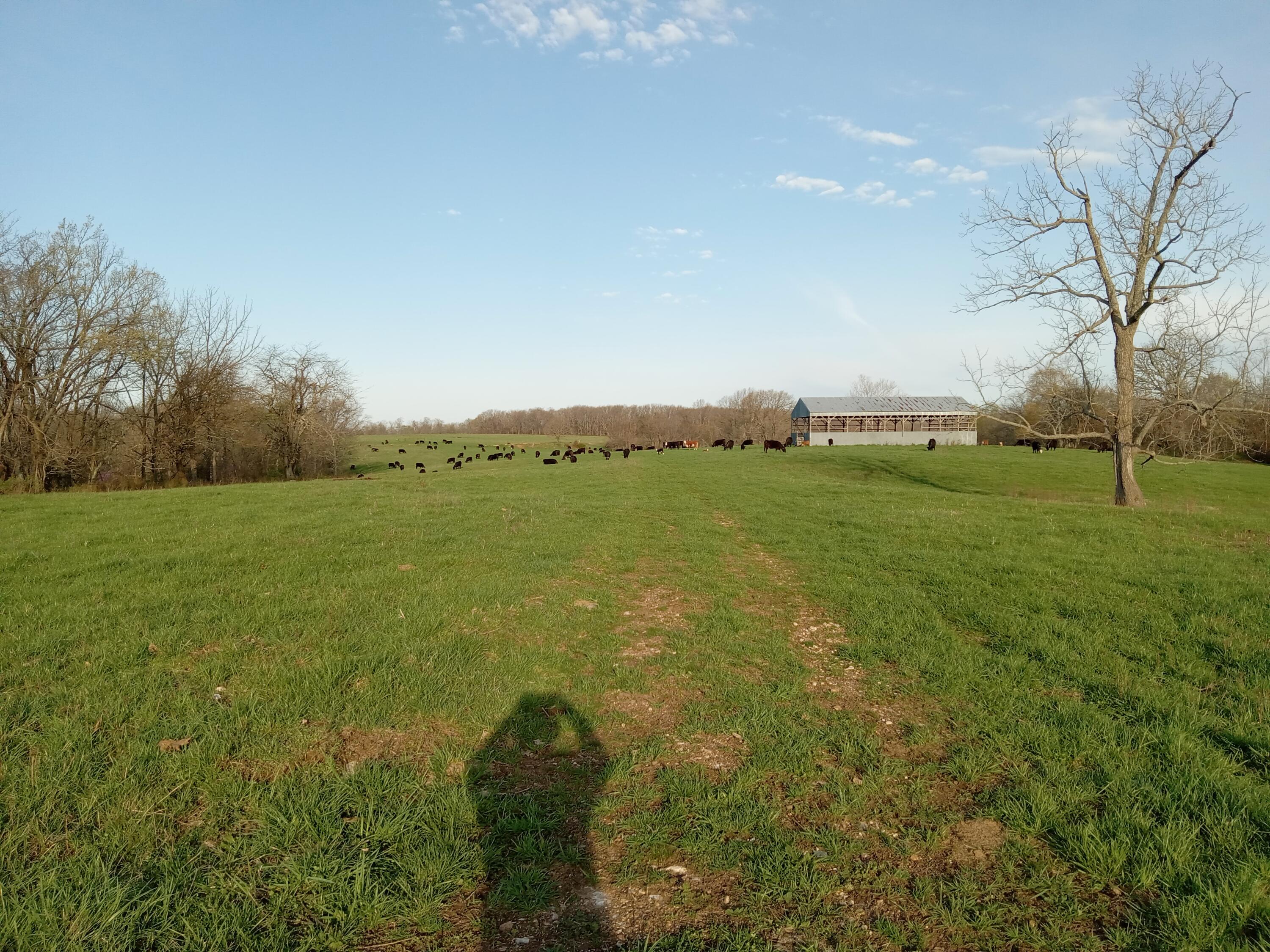 1970 Baker Creek Road Property Photo 22