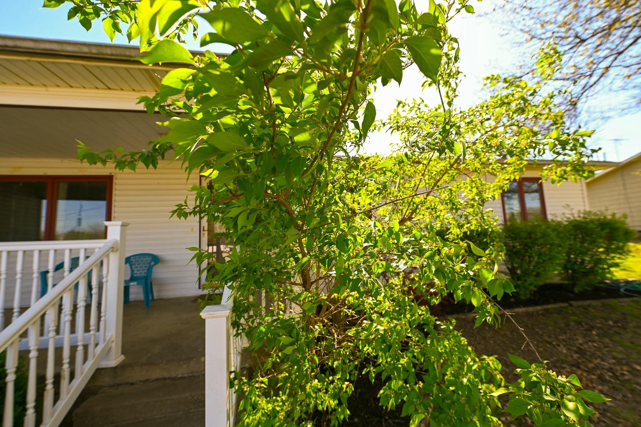 1316 Glenwood Place Property Photo 3