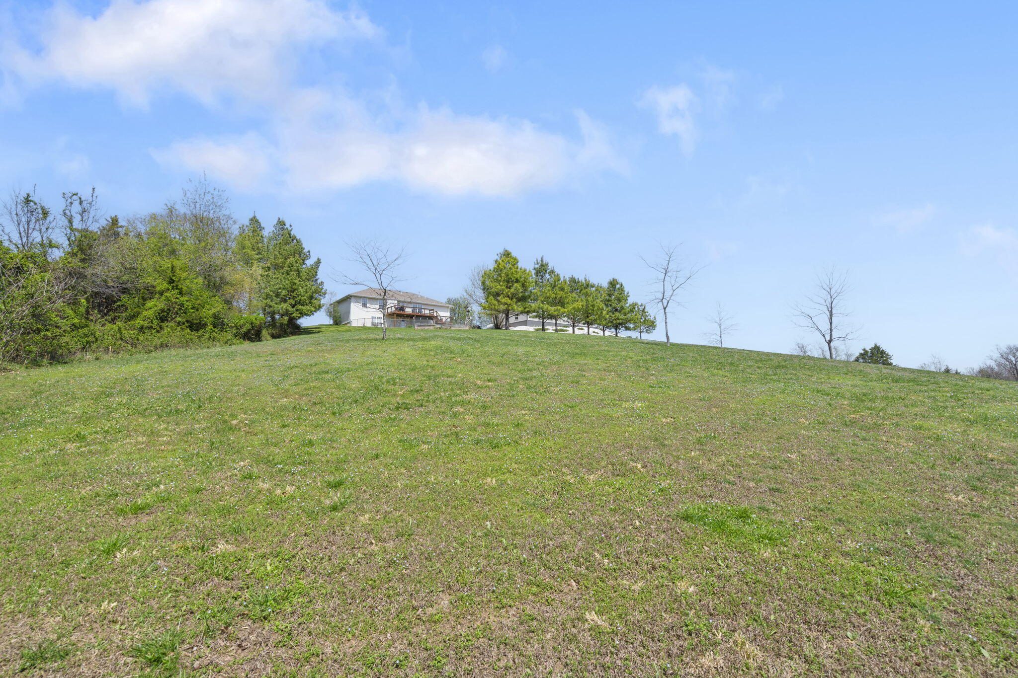 114 Hedge Apple Road Property Photo 64