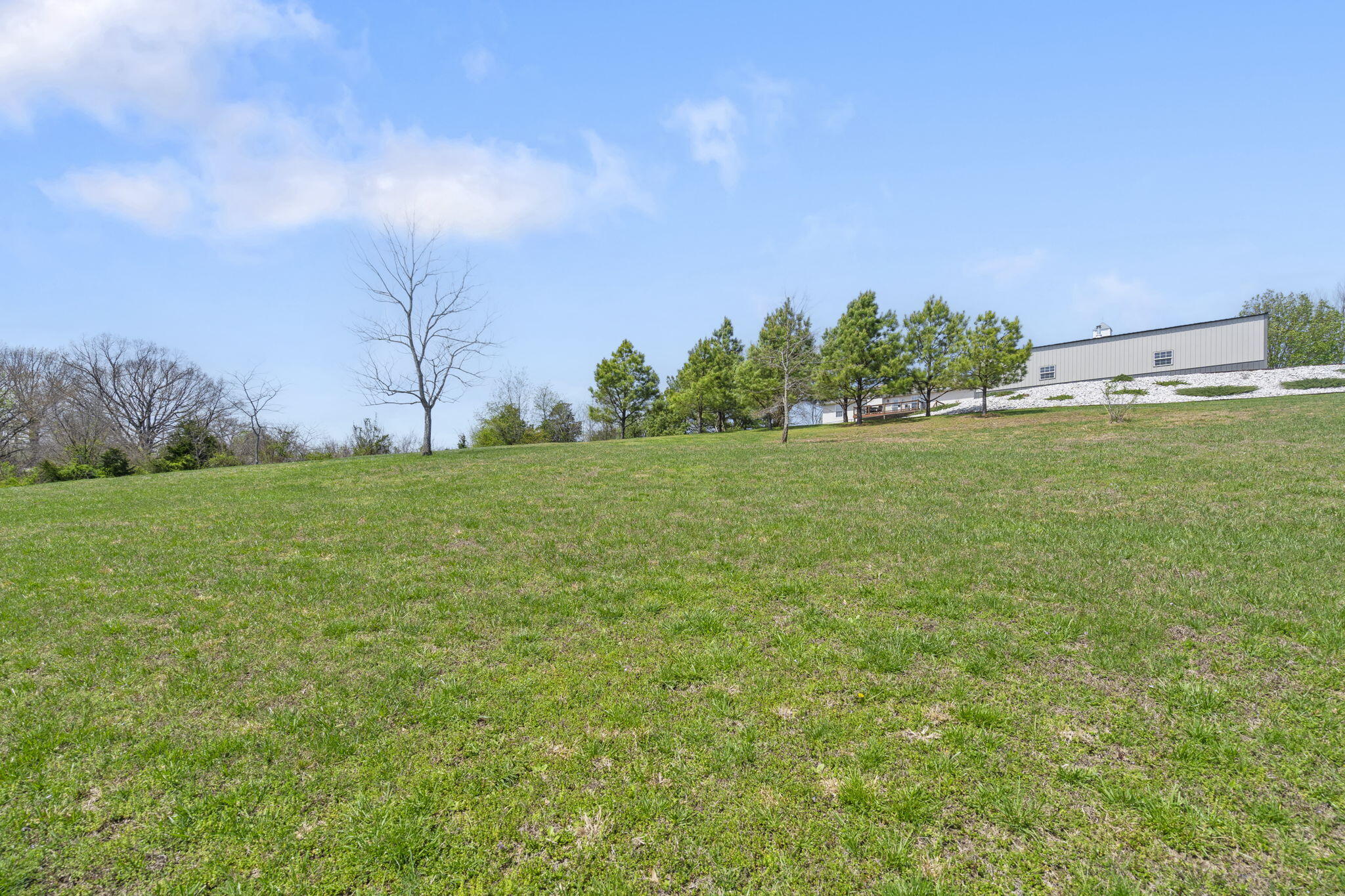 114 Hedge Apple Road Property Photo 65