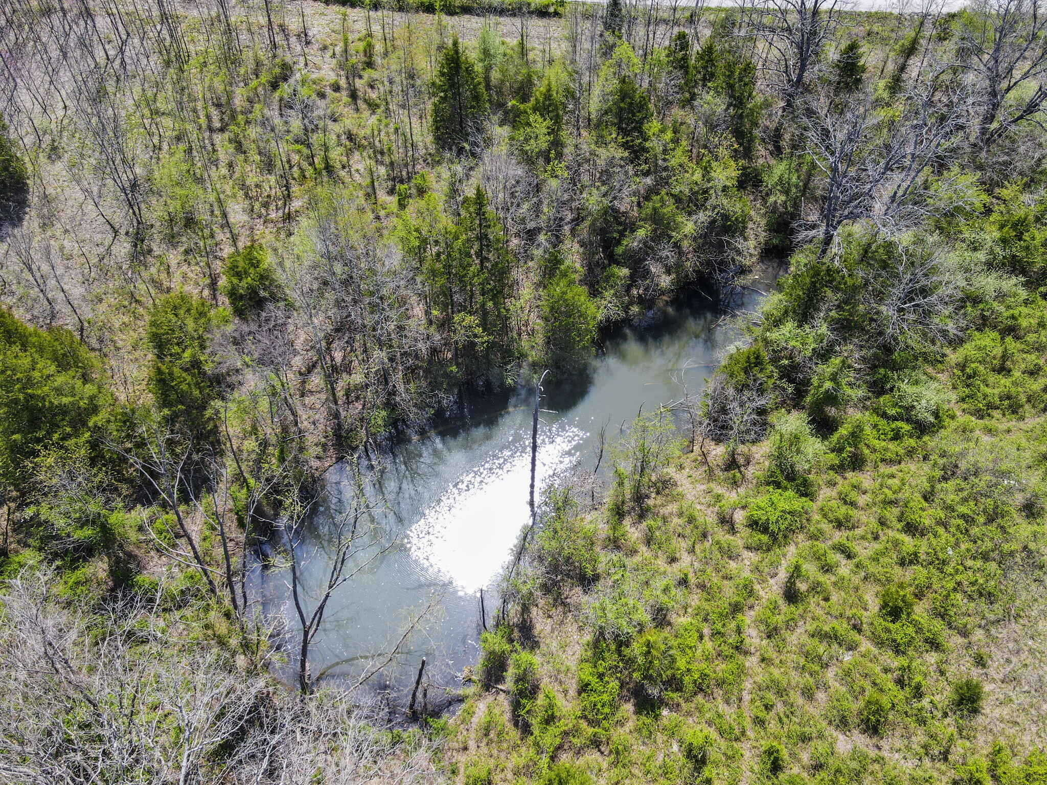 114 Hedge Apple Road Property Photo 69