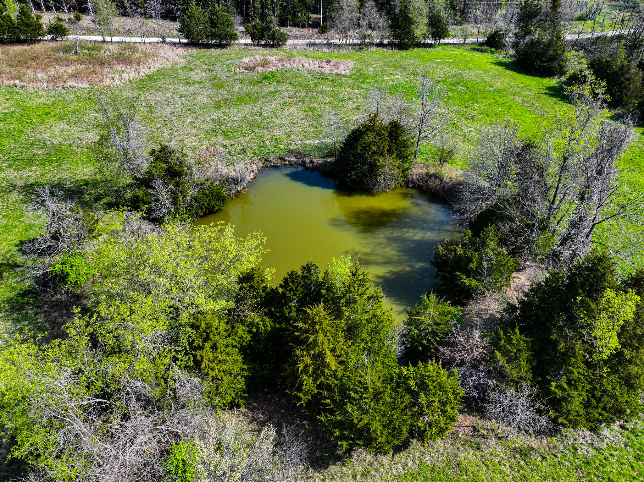 5659 State Hwy 39 Property Photo 27