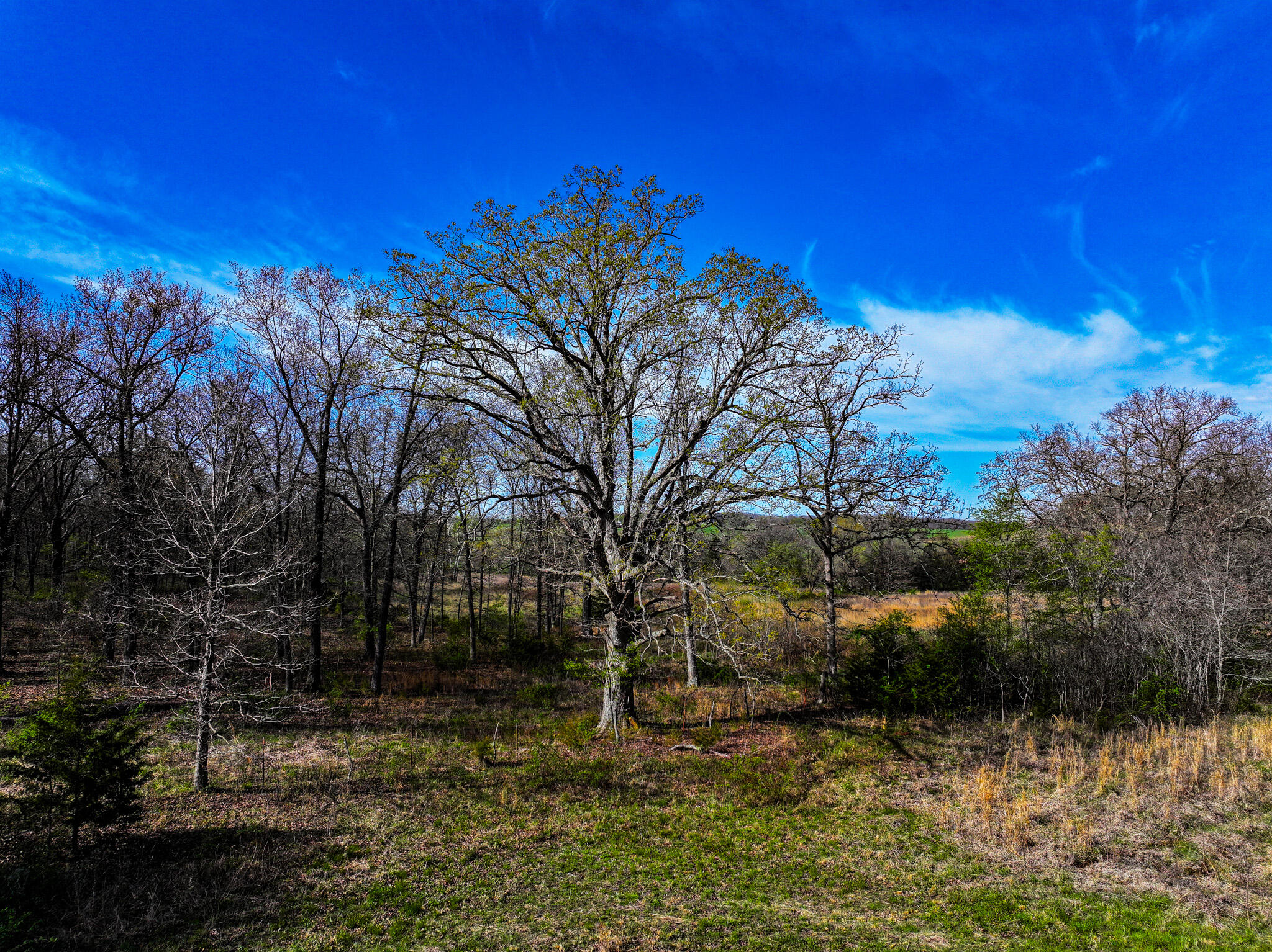 5659 State Hwy 39 Property Photo 31