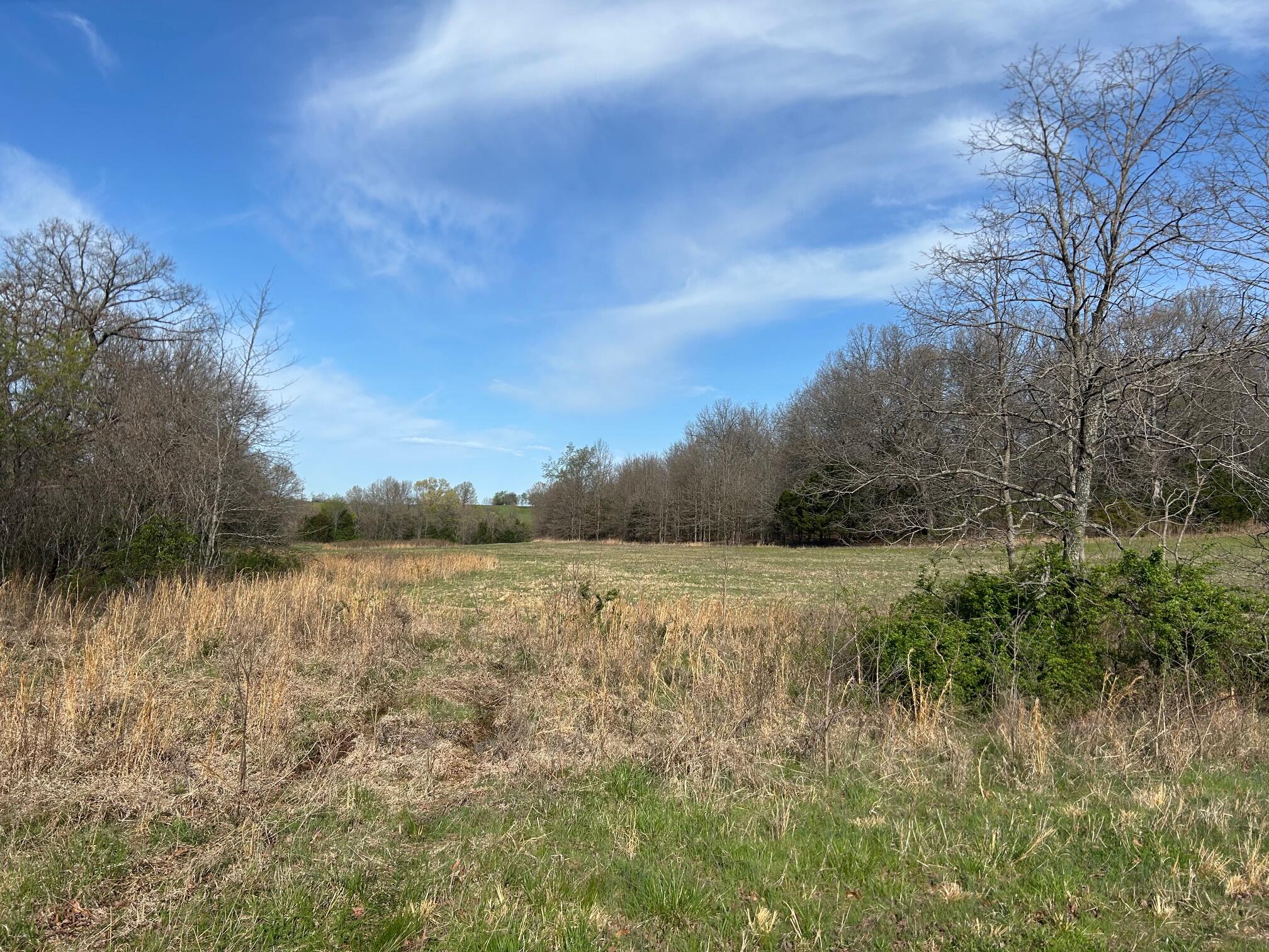 5659 State Hwy 39 Property Photo 45