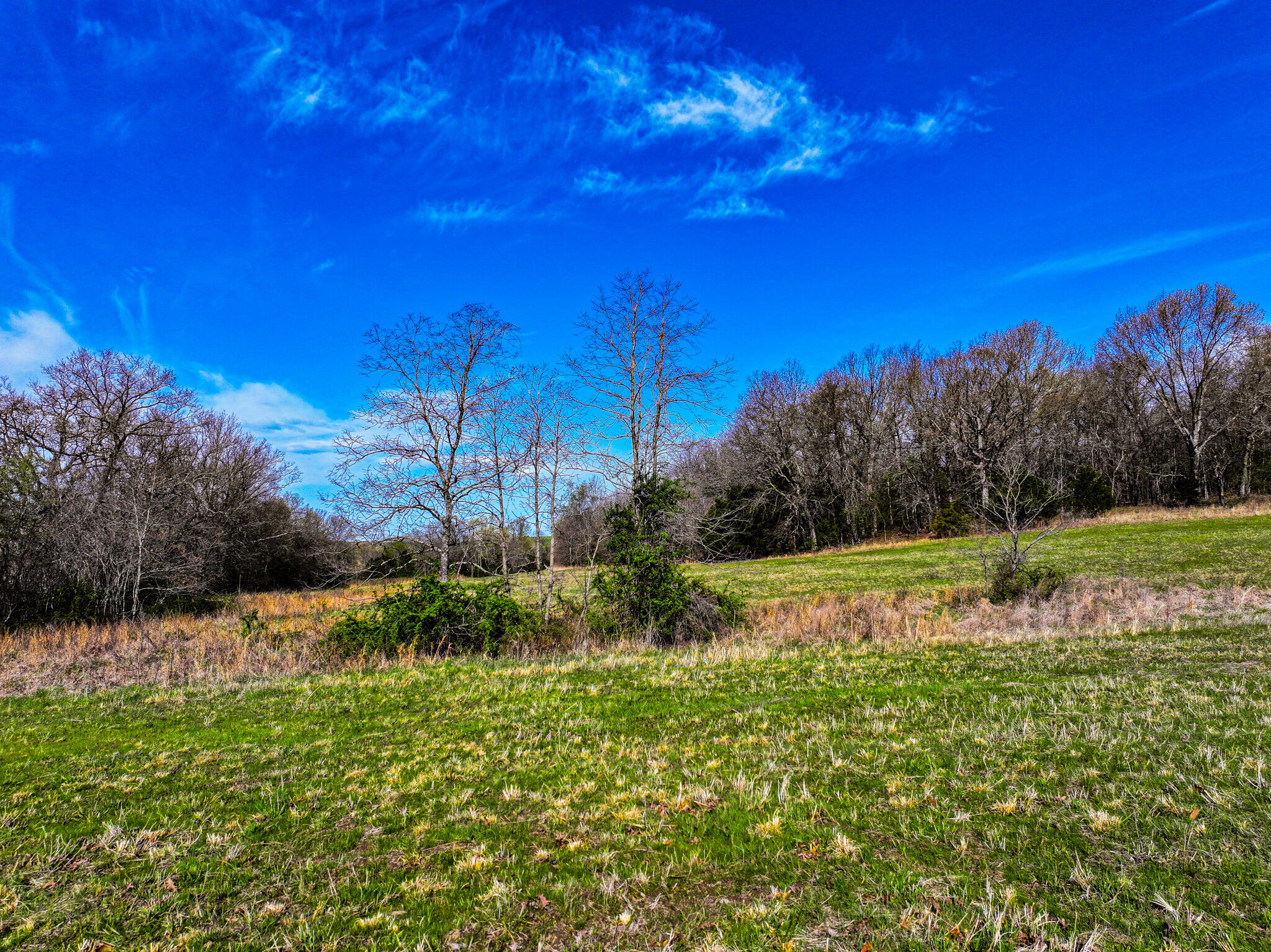 5659 State Hwy 39 Property Photo 46
