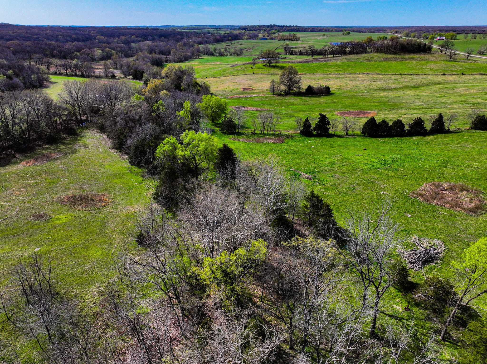 5659 State Hwy 39 Property Photo 49