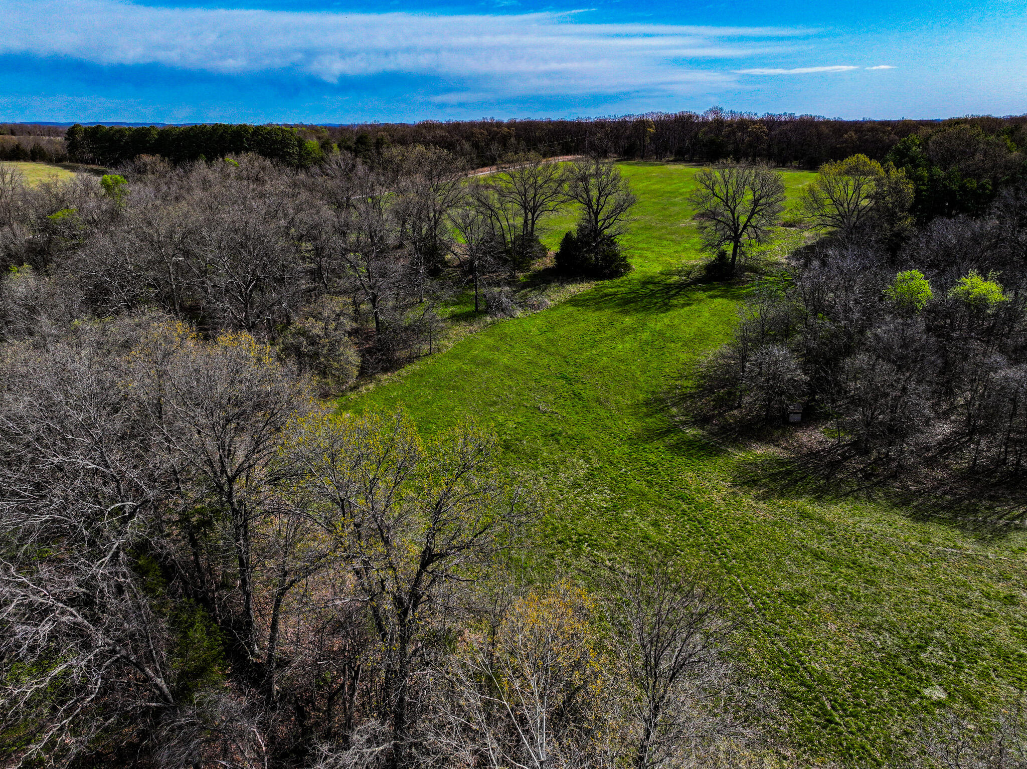 5659 State Hwy 39 Property Photo 50