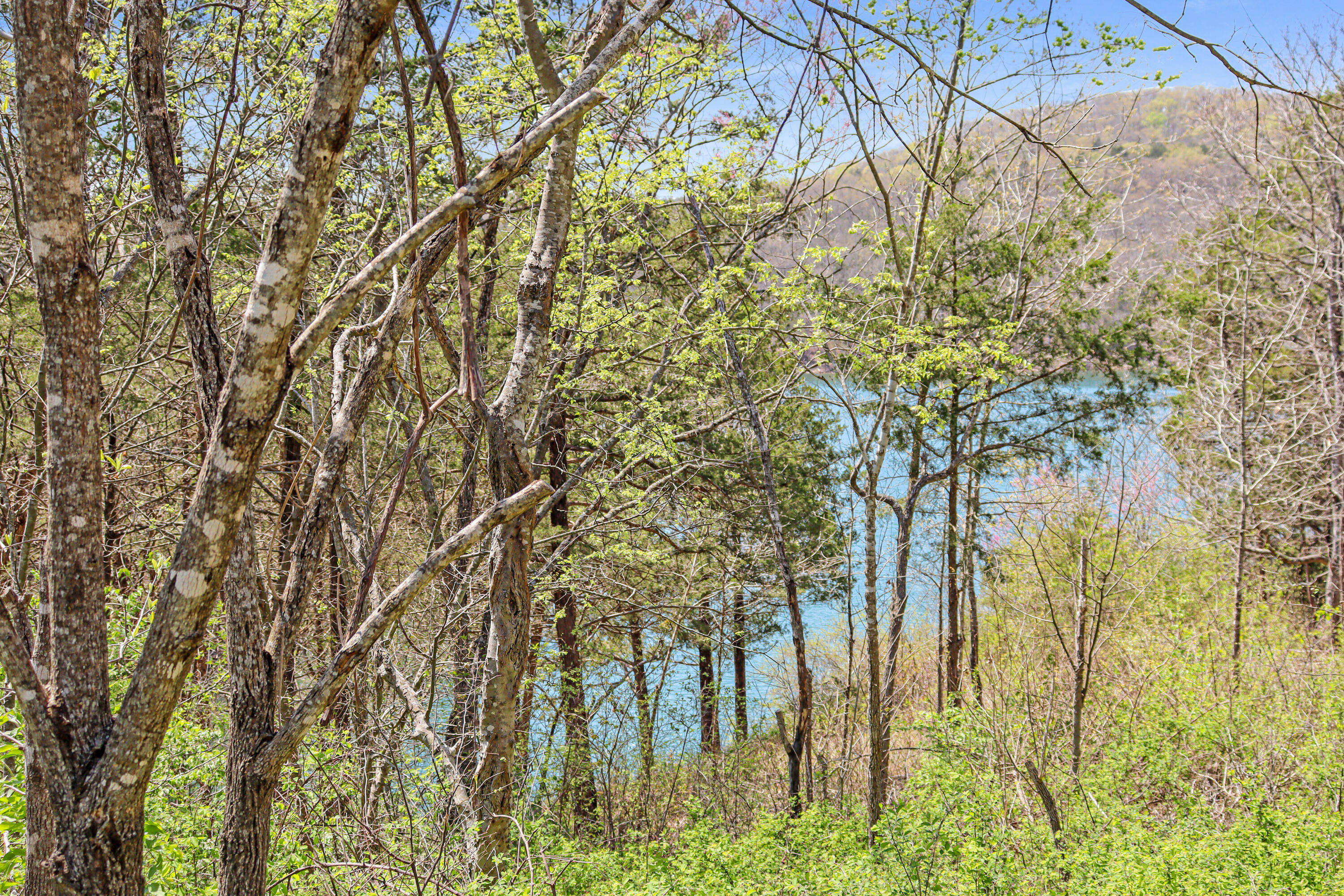 Tbd 789 Everest (lot 4 & 5) Road Property Photo 3