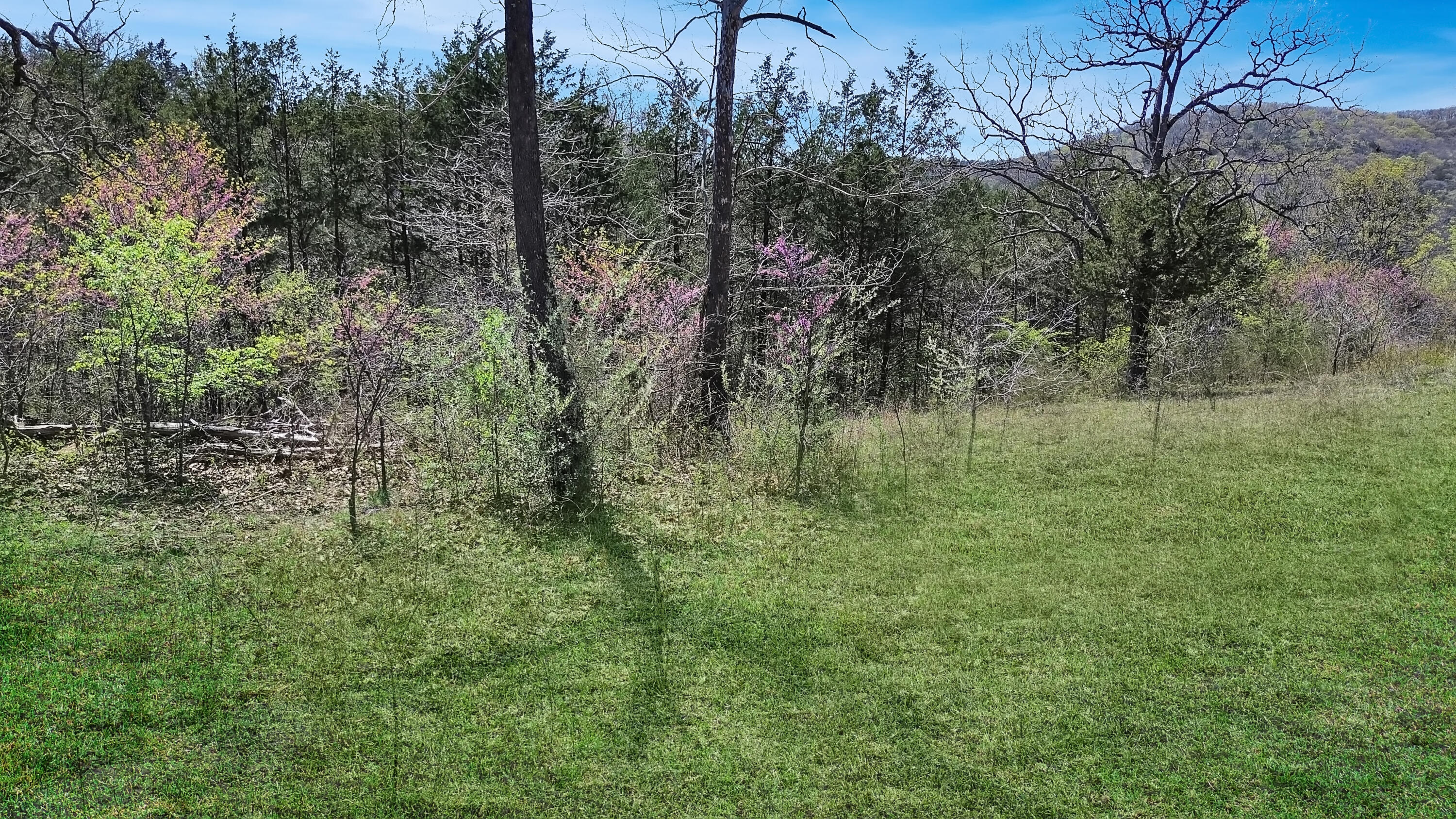 Tbd 789 Everest (lot 4 & 5) Road Property Photo 7