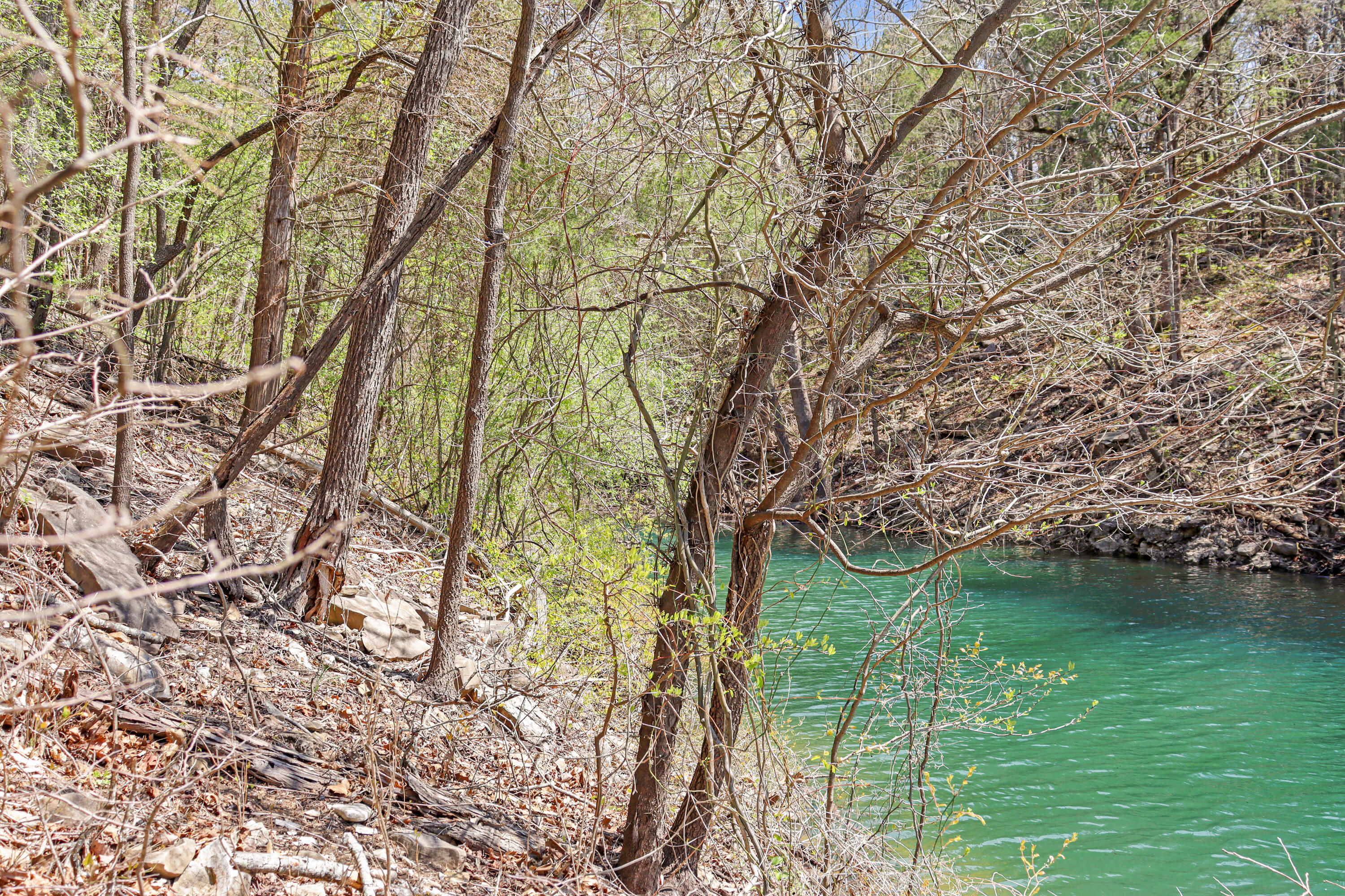 Tbd 789 Everest (lot 4 & 5) Road Property Photo 9