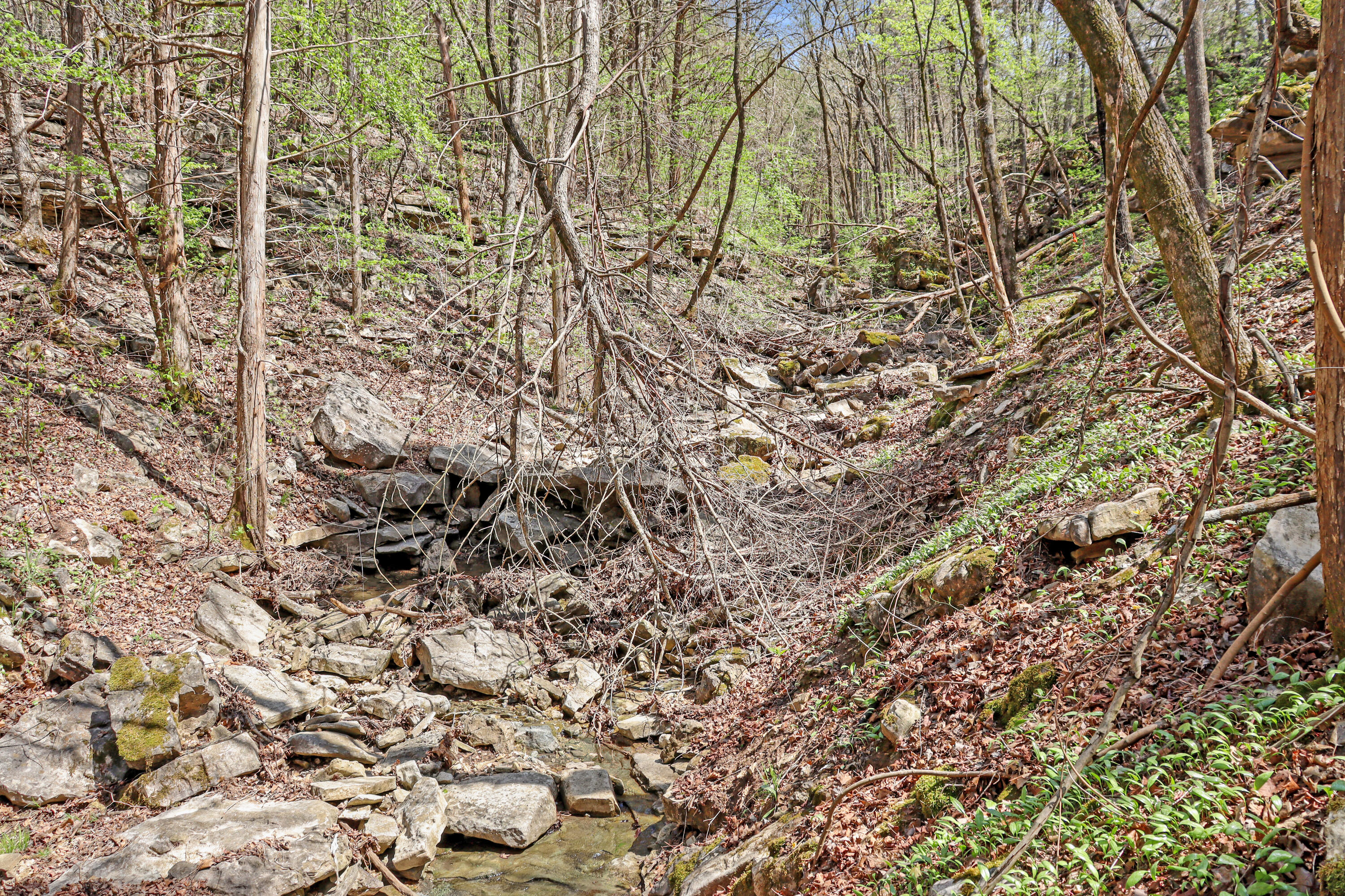 Tbd 789 Everest (lot 4 & 5) Road Property Photo 13