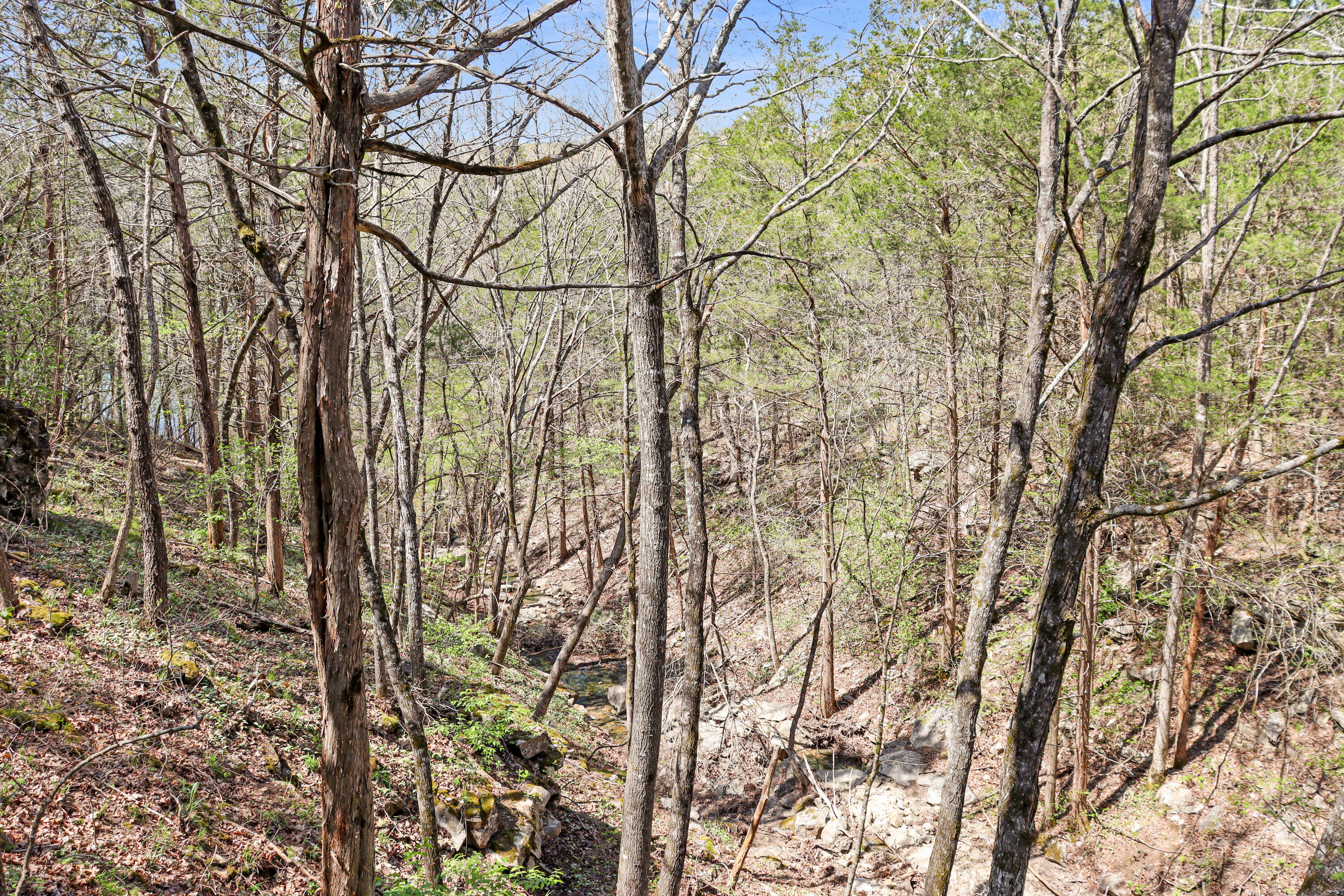Tbd 789 Everest (lot 4 & 5) Road Property Photo 14