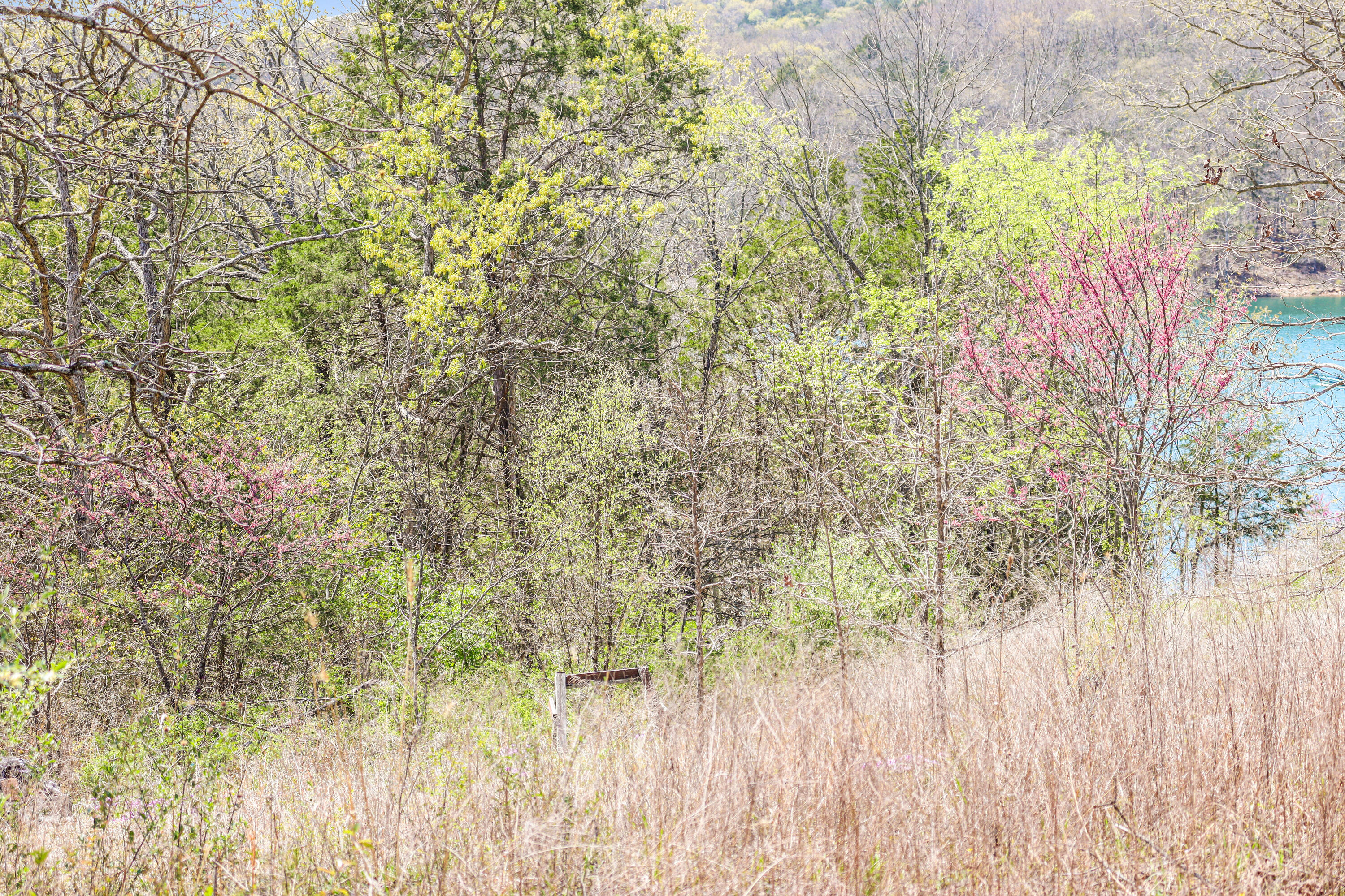 Tbd 789 Everest (lot 4) Road Property Photo 4
