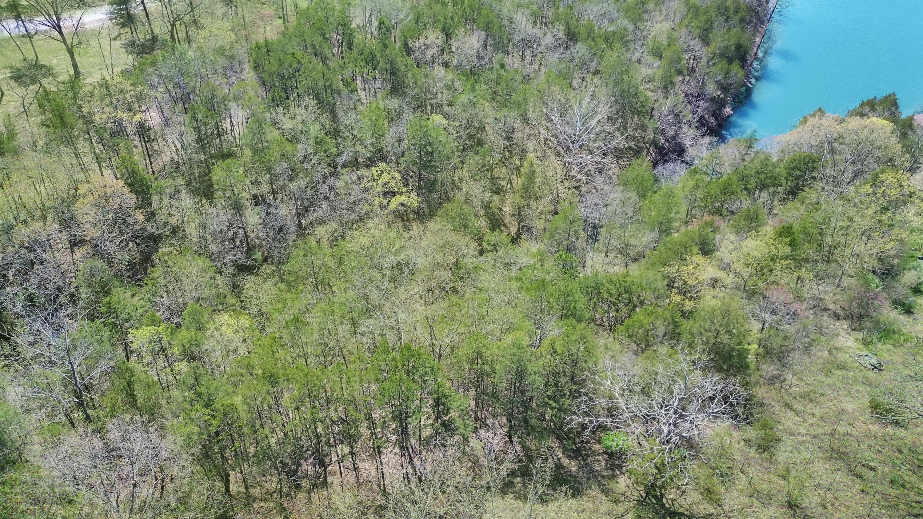 Tbd 789 Everest (lot 4) Road Property Photo 10