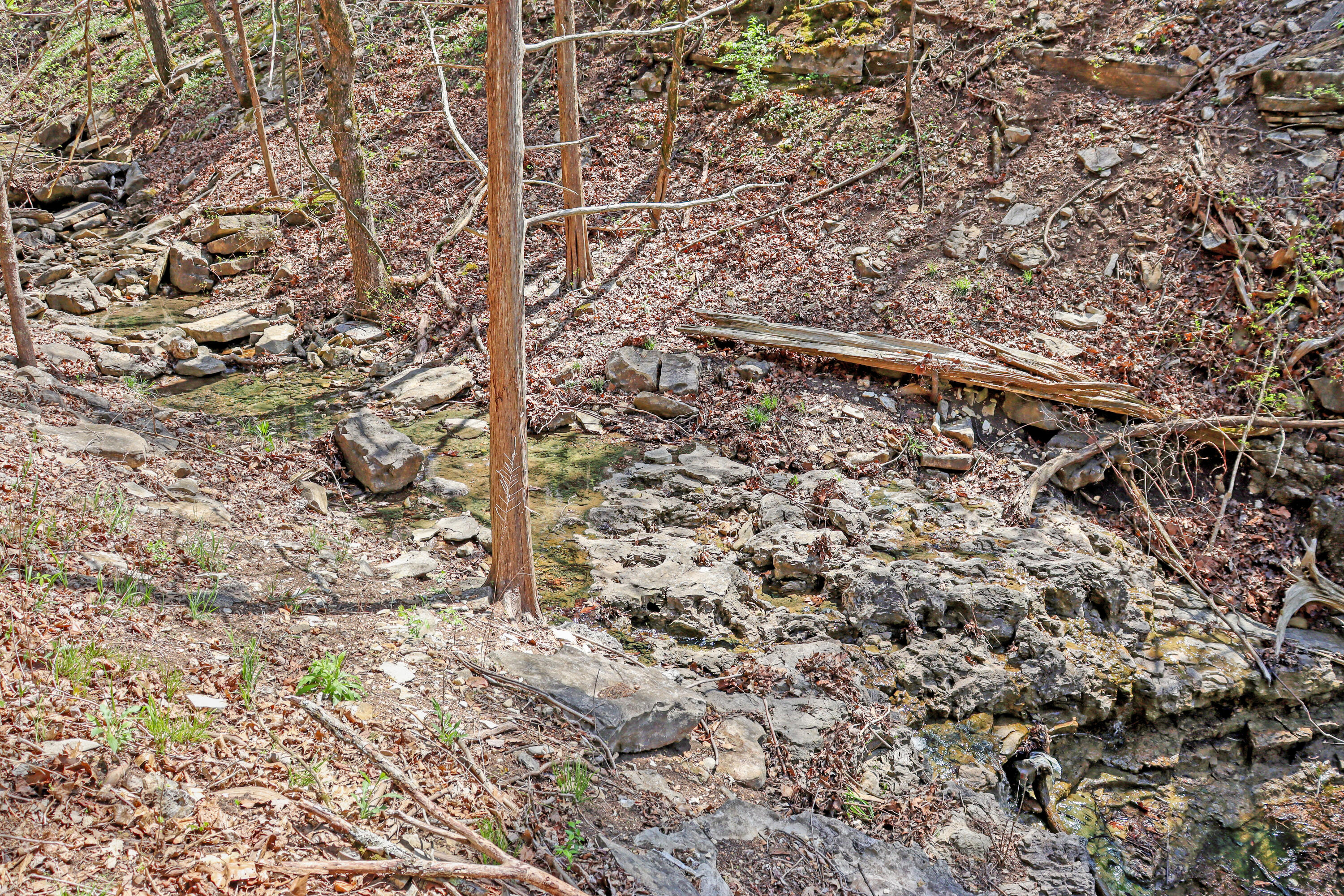 Tbd 789 Everest (lot 4) Road Property Photo 14