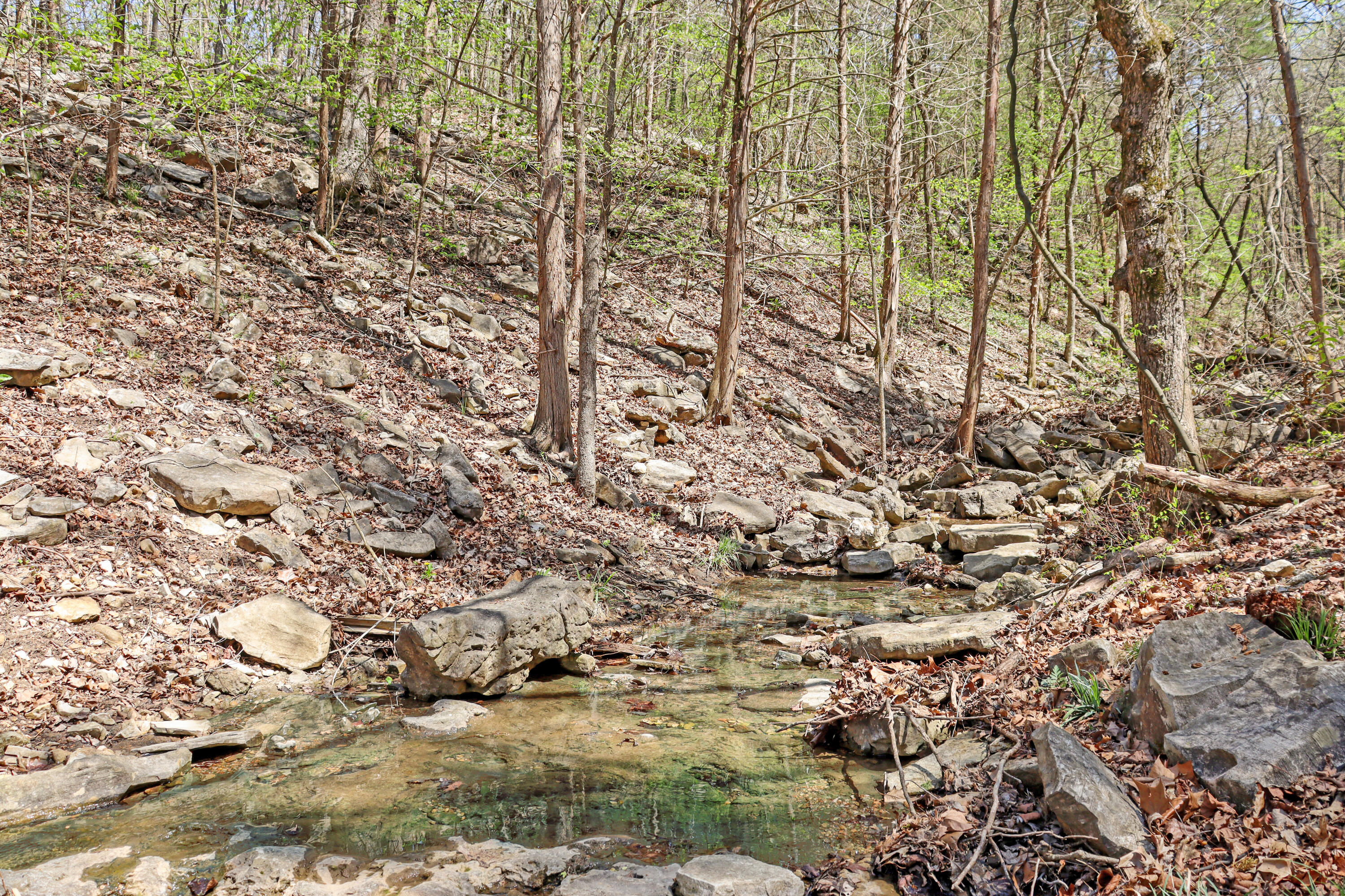 Tbd 789 Everest (lot 4) Road Property Photo 15