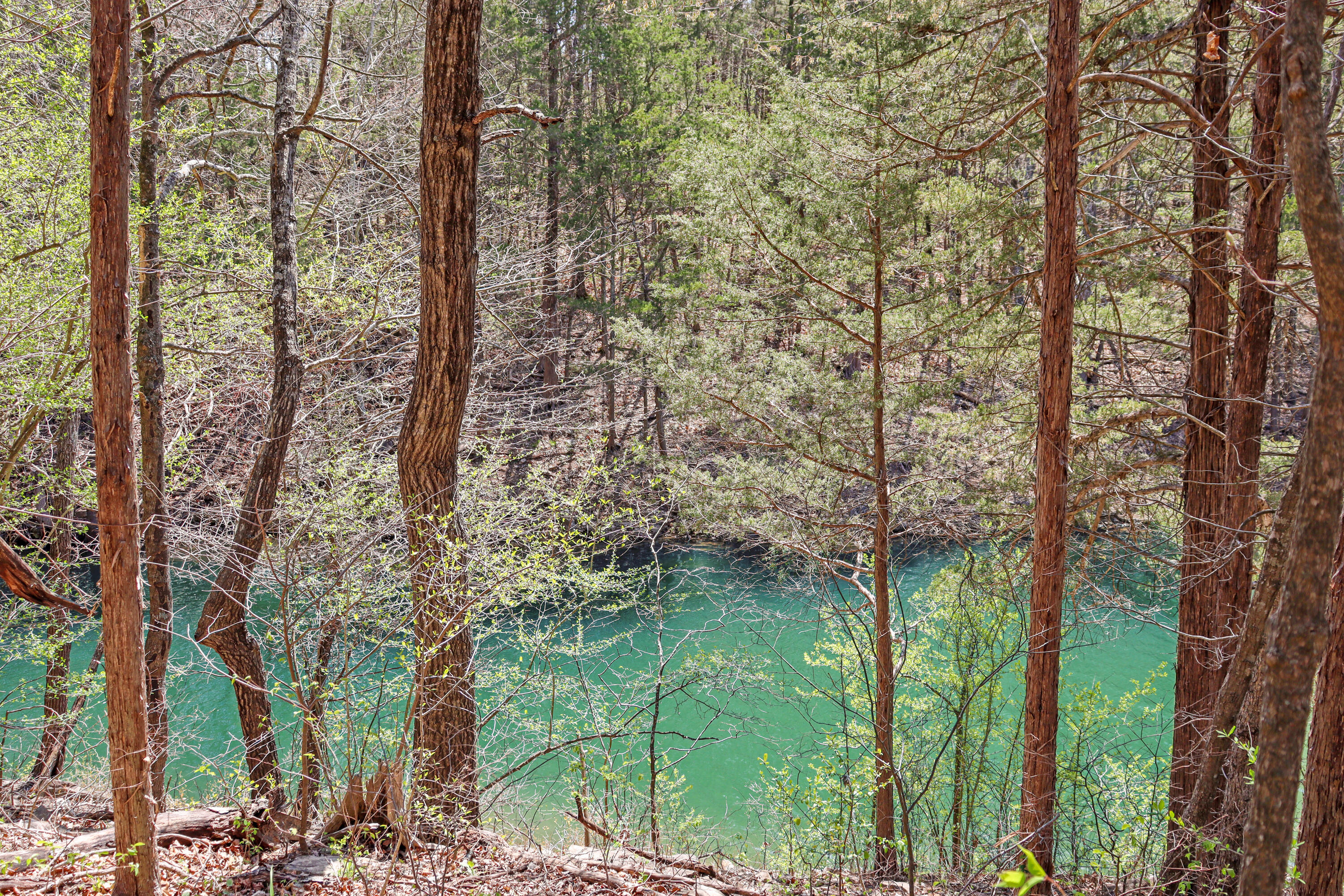 Tbd 789 Everest (lot 5) Road Property Photo 2
